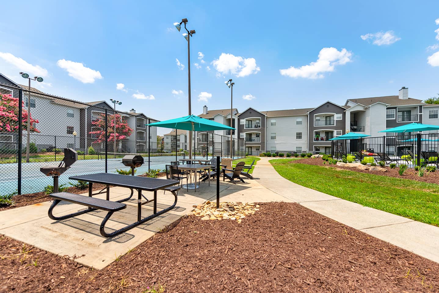 Cortland Mallard Creek photo 25