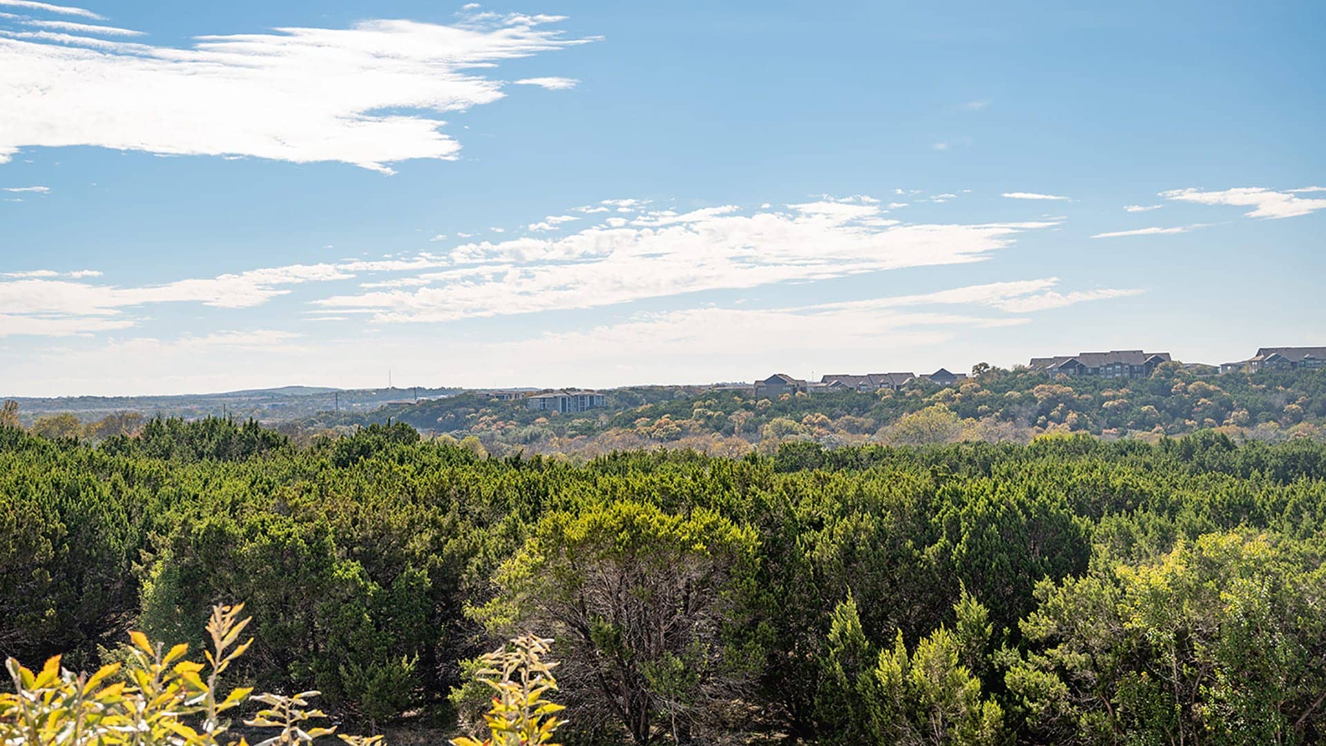 Cortland Bluff Springs photo 38