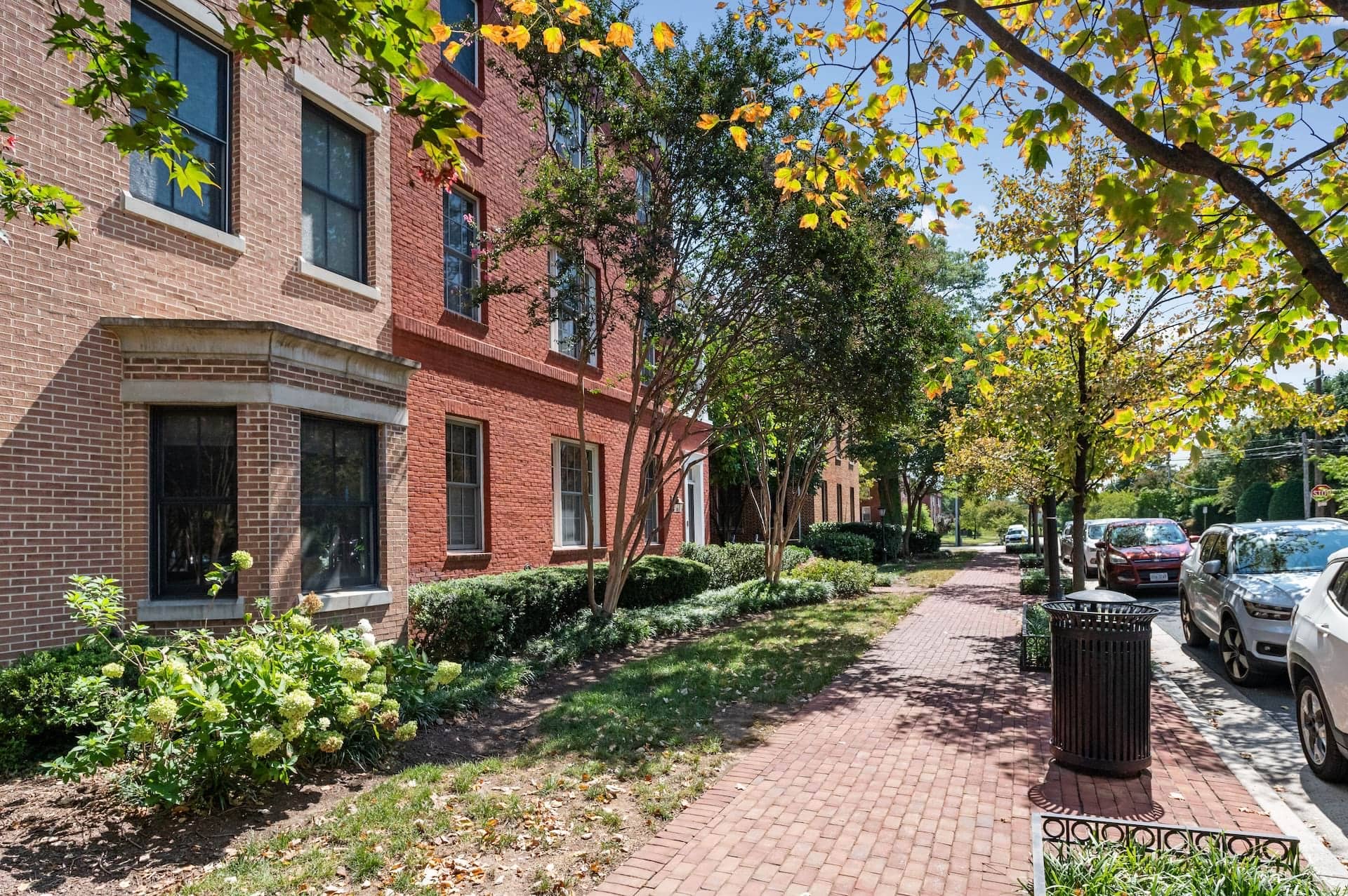 Cortland Alexandria photo 25