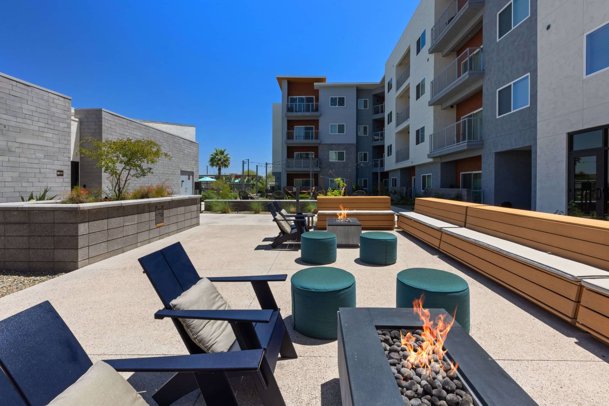 Cortland at P83 photo 27