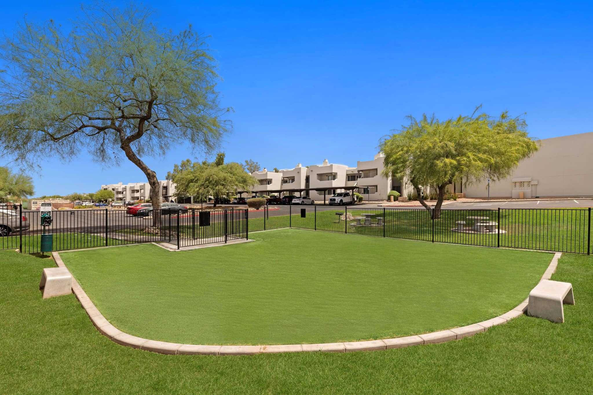 Cortland Scottsdale Mountain photo 32