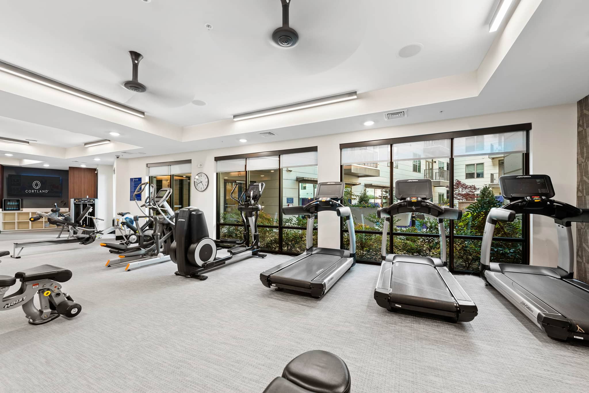 Cortland NoDa photo 4