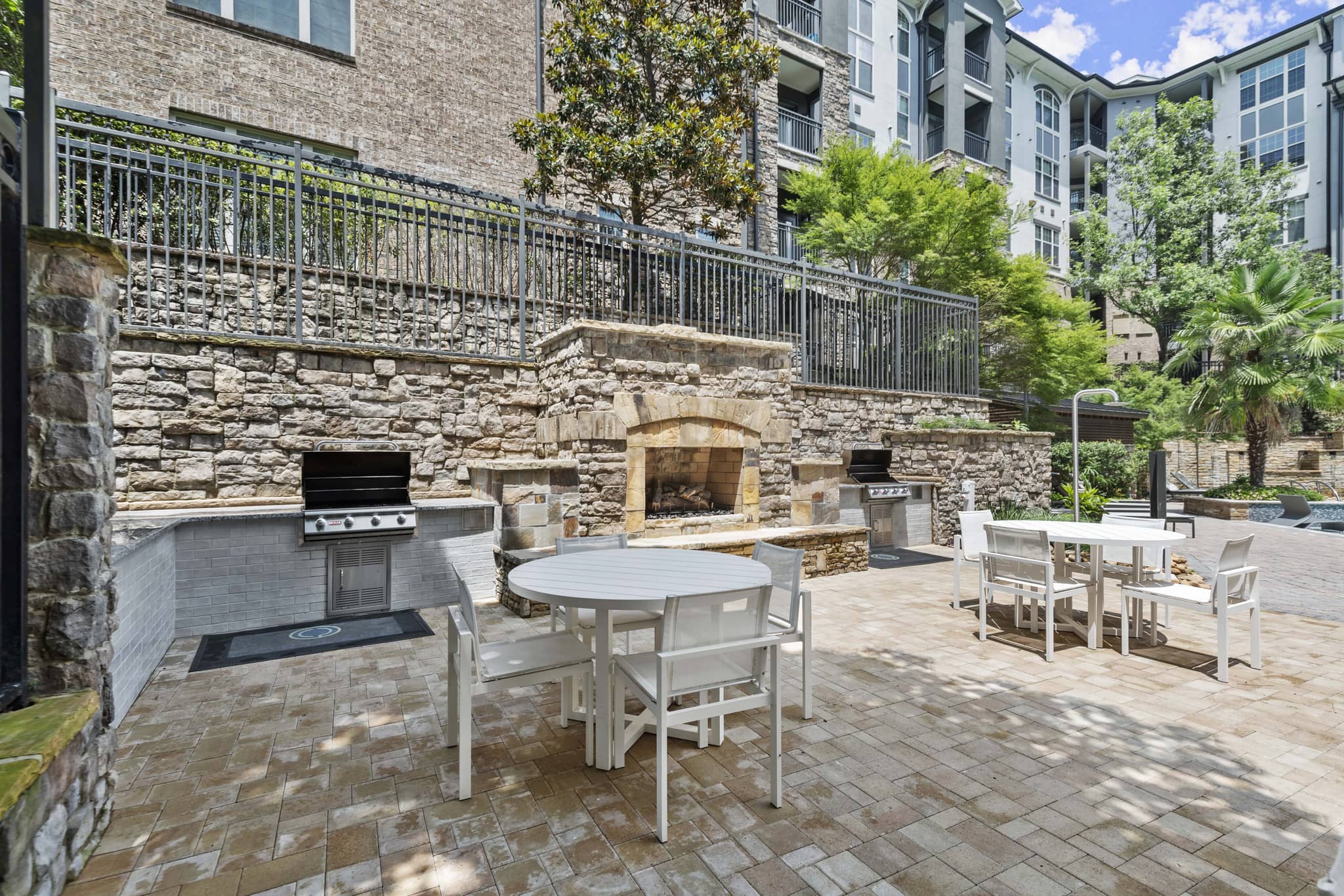 Cortland Oleander photo 37