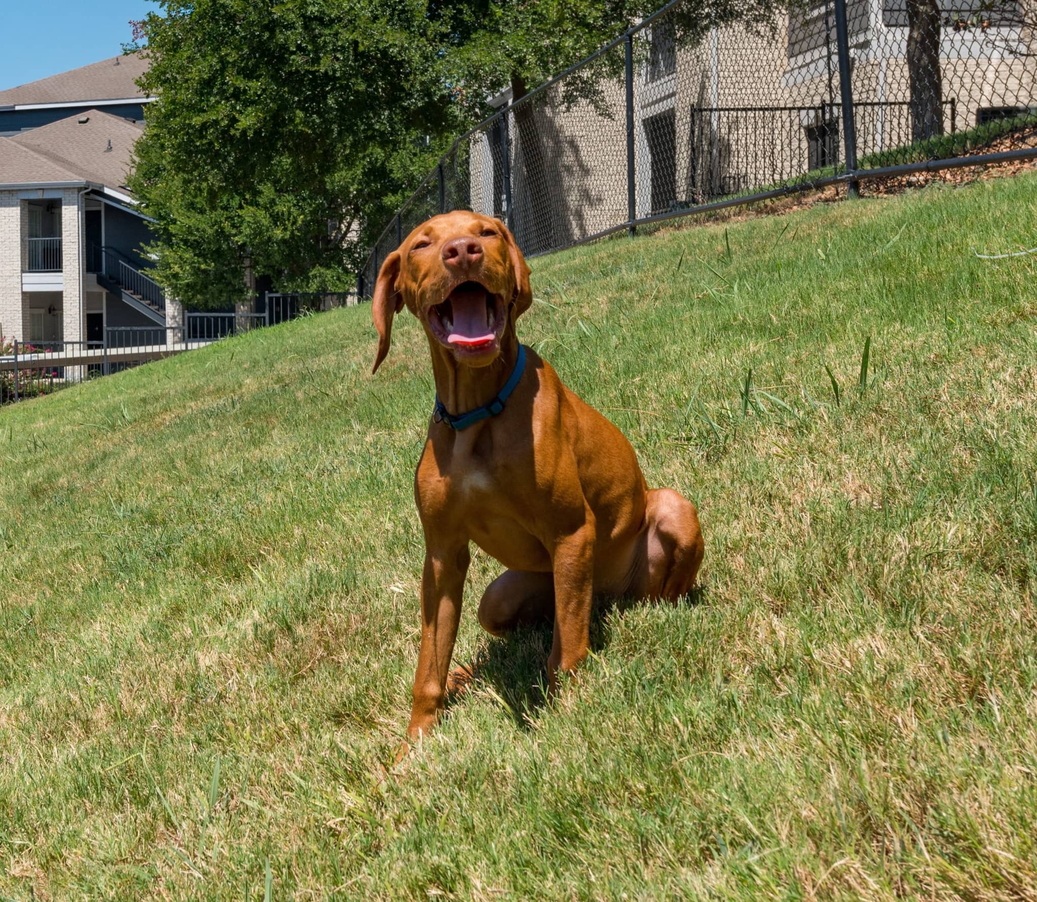 Cortland Broomfield photo 27