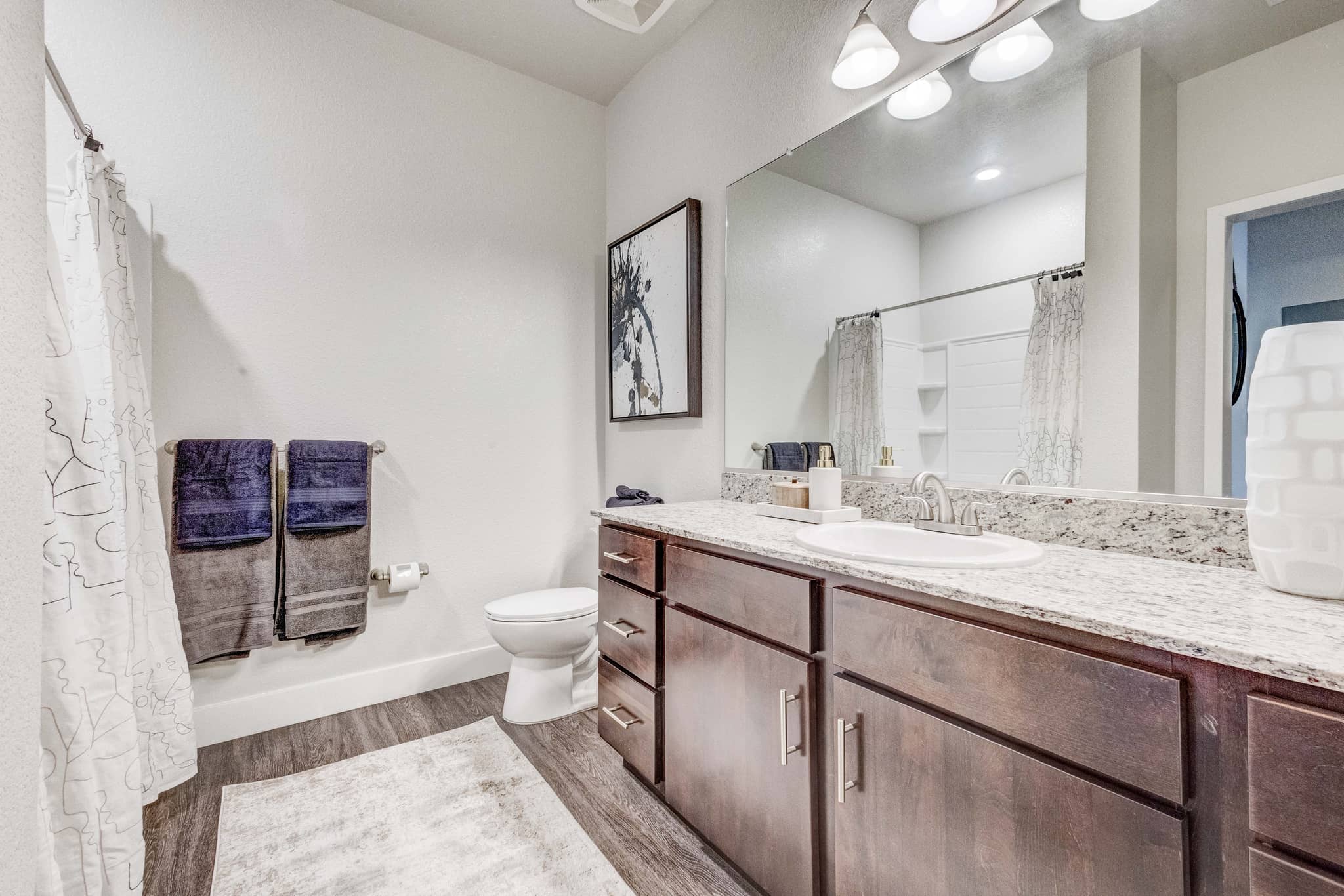 Cortland at 2534 photo 17