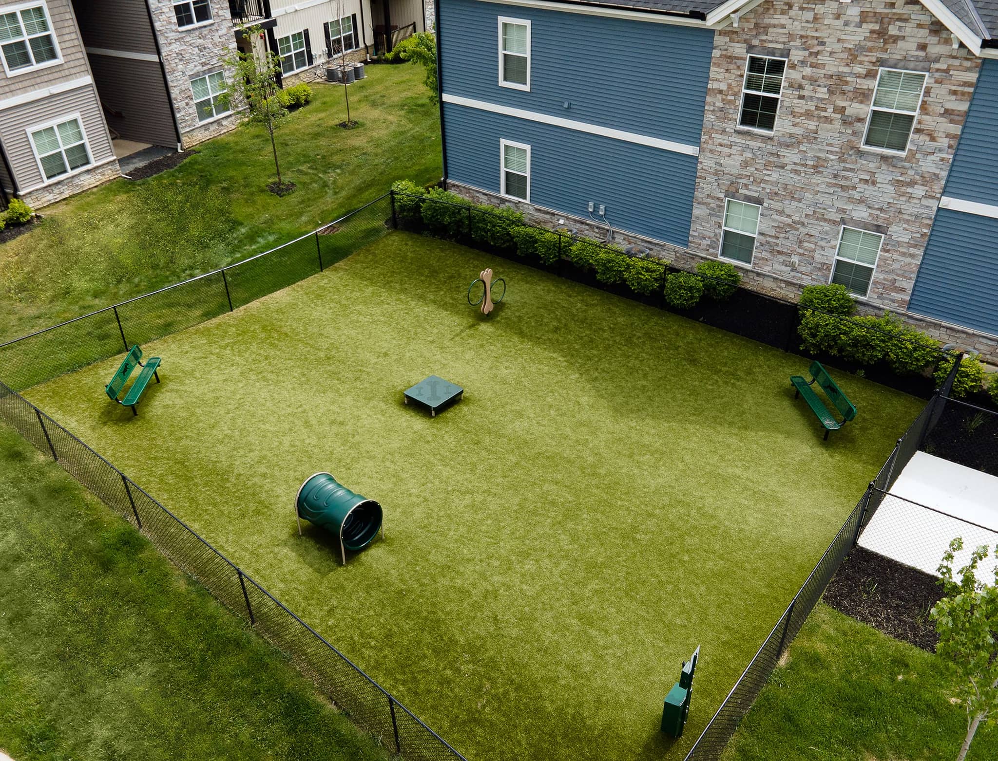 Cortland Sunbury photo 16