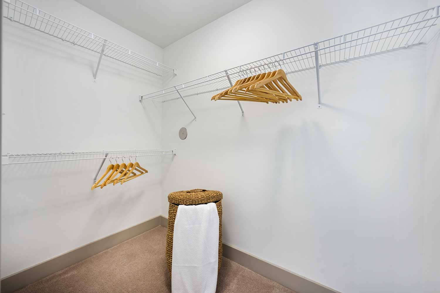 Cortland Vesta photo 21