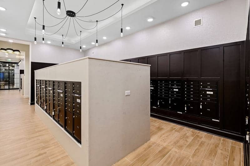 Cortland Bull City photo 42