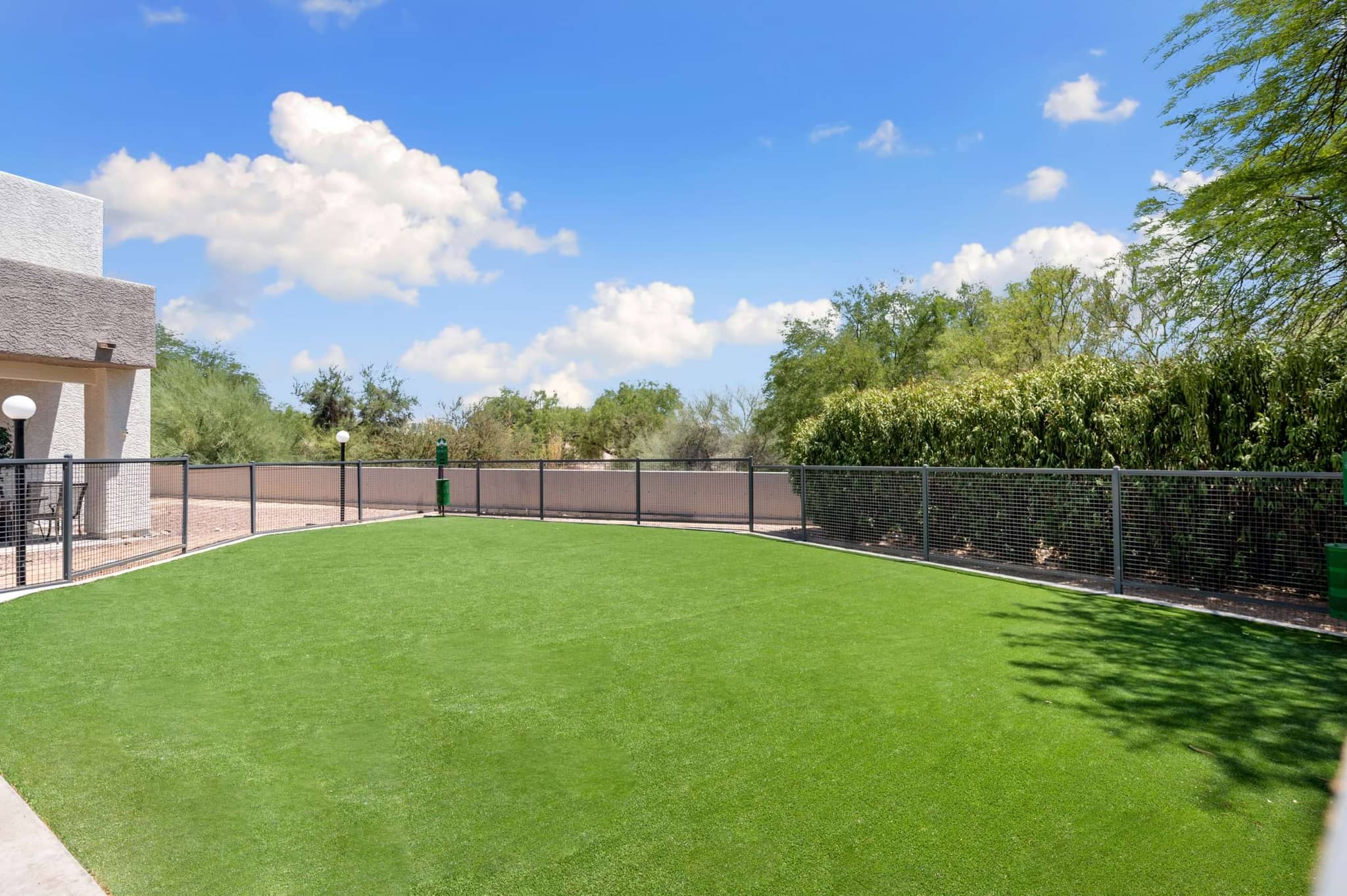 Cortland North Tucson photo 23