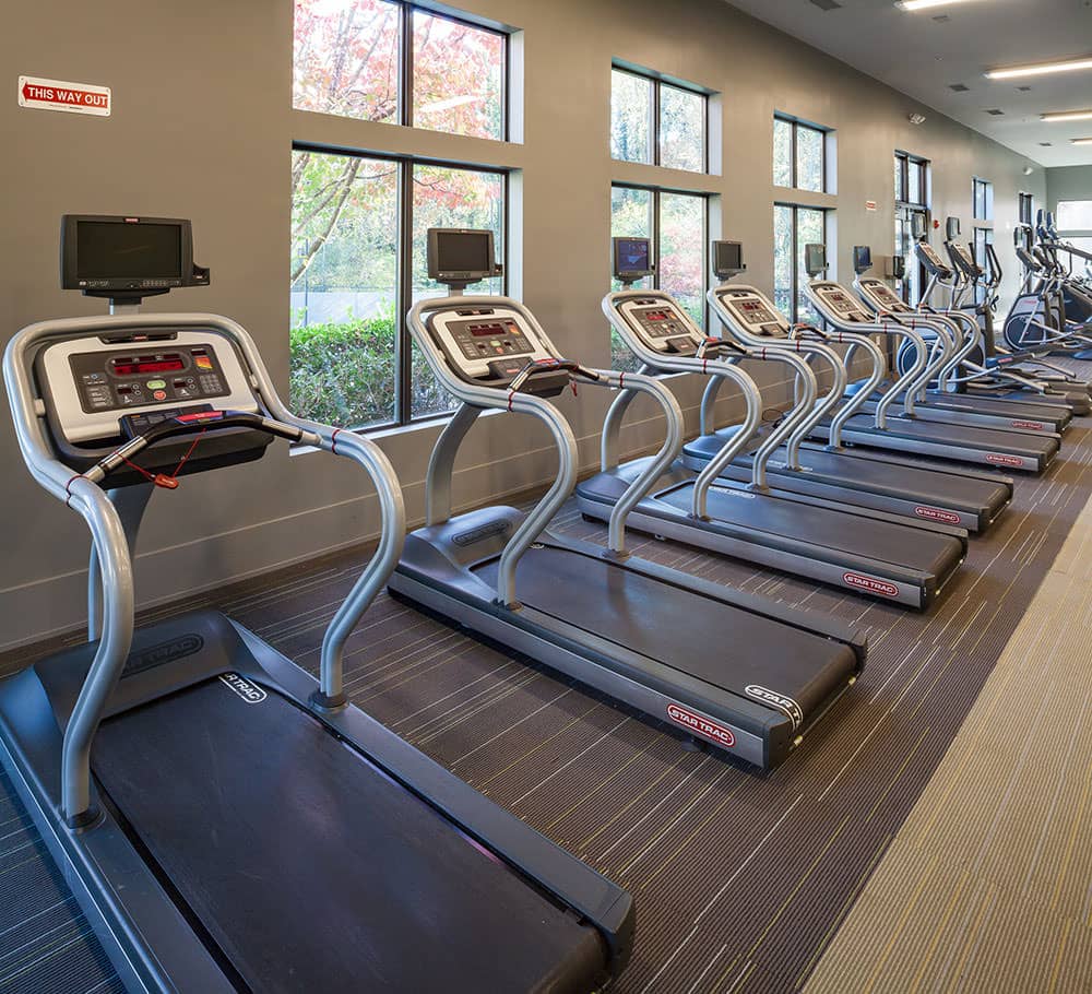 Cortland at the Village photo 41