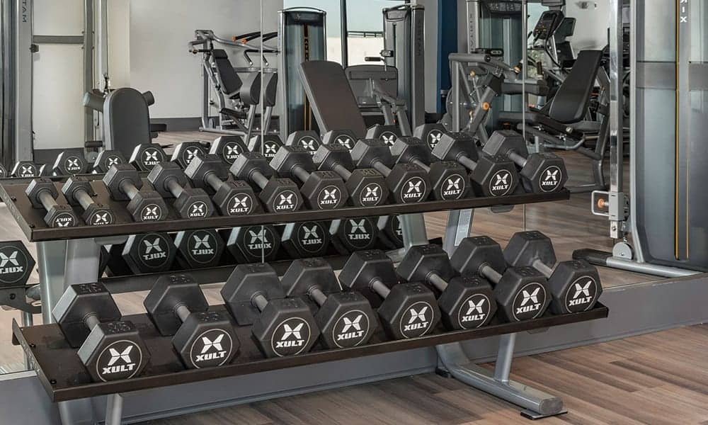 Cortland on Orange photo 20