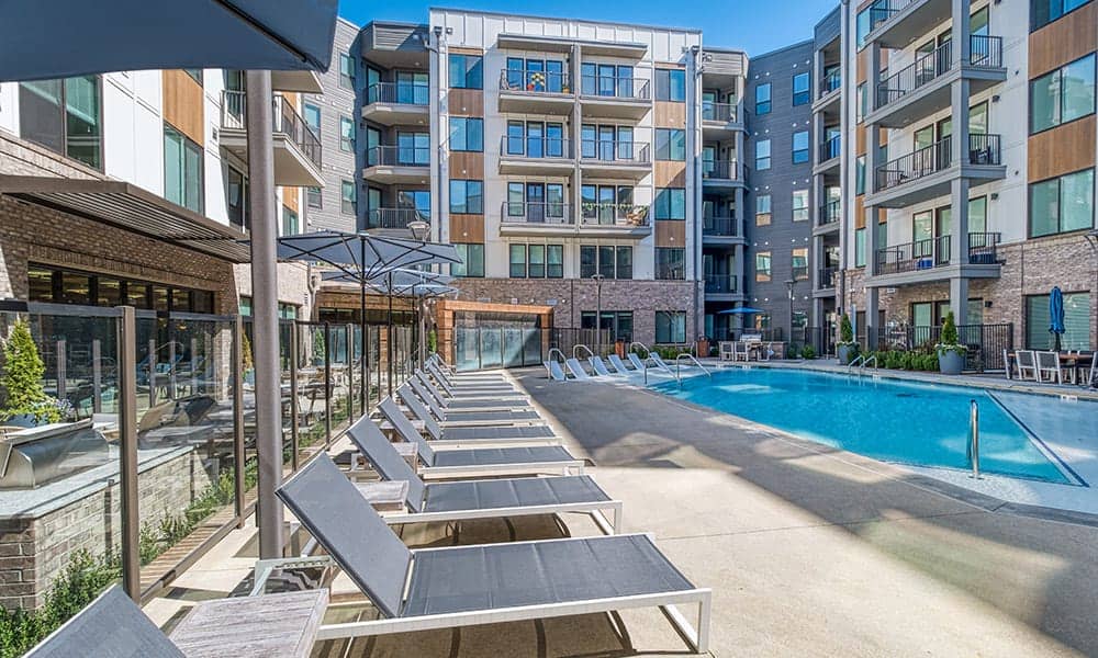 Cortland Oleander photo 32