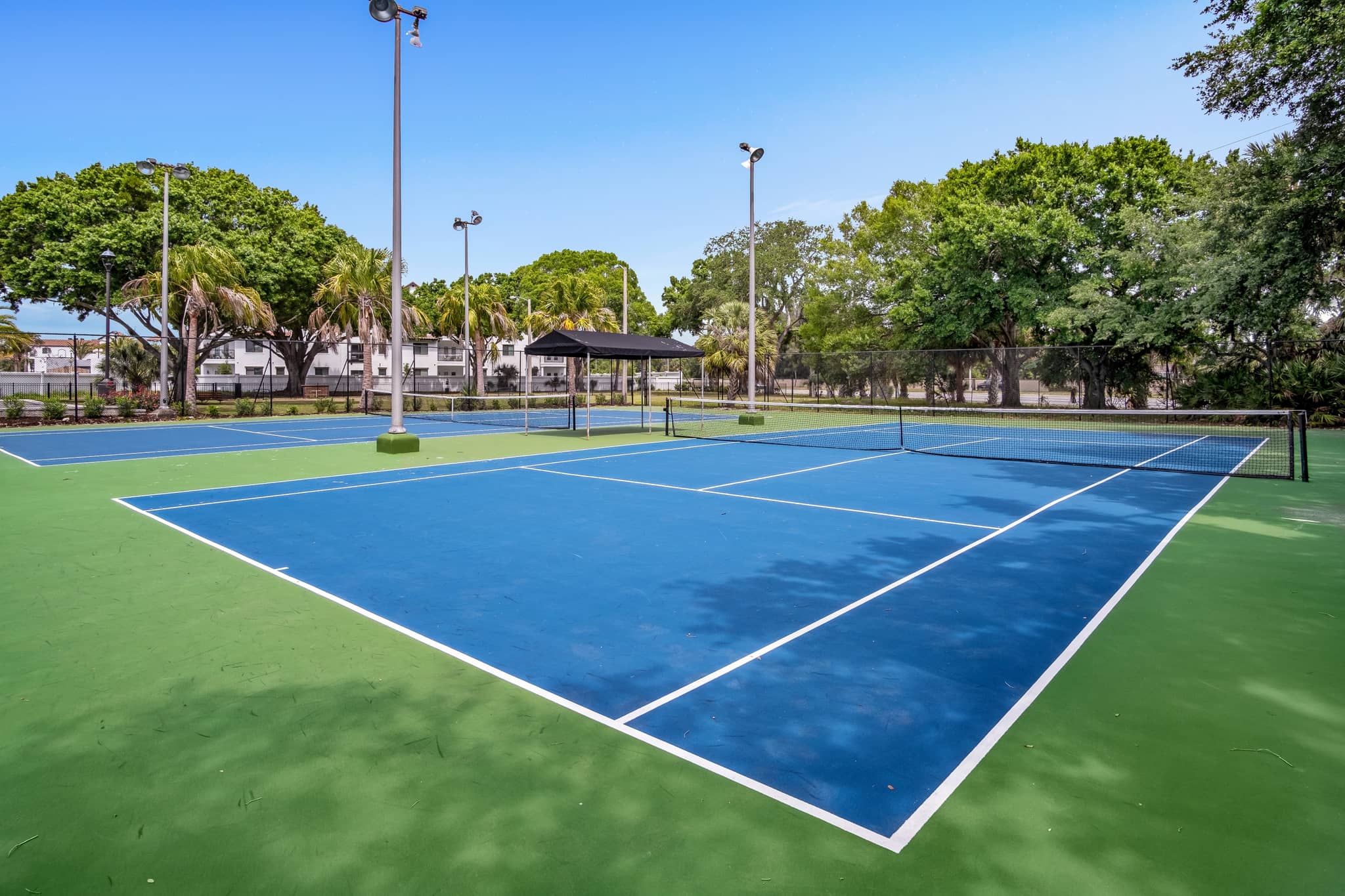 Cortland Bayport photo 48