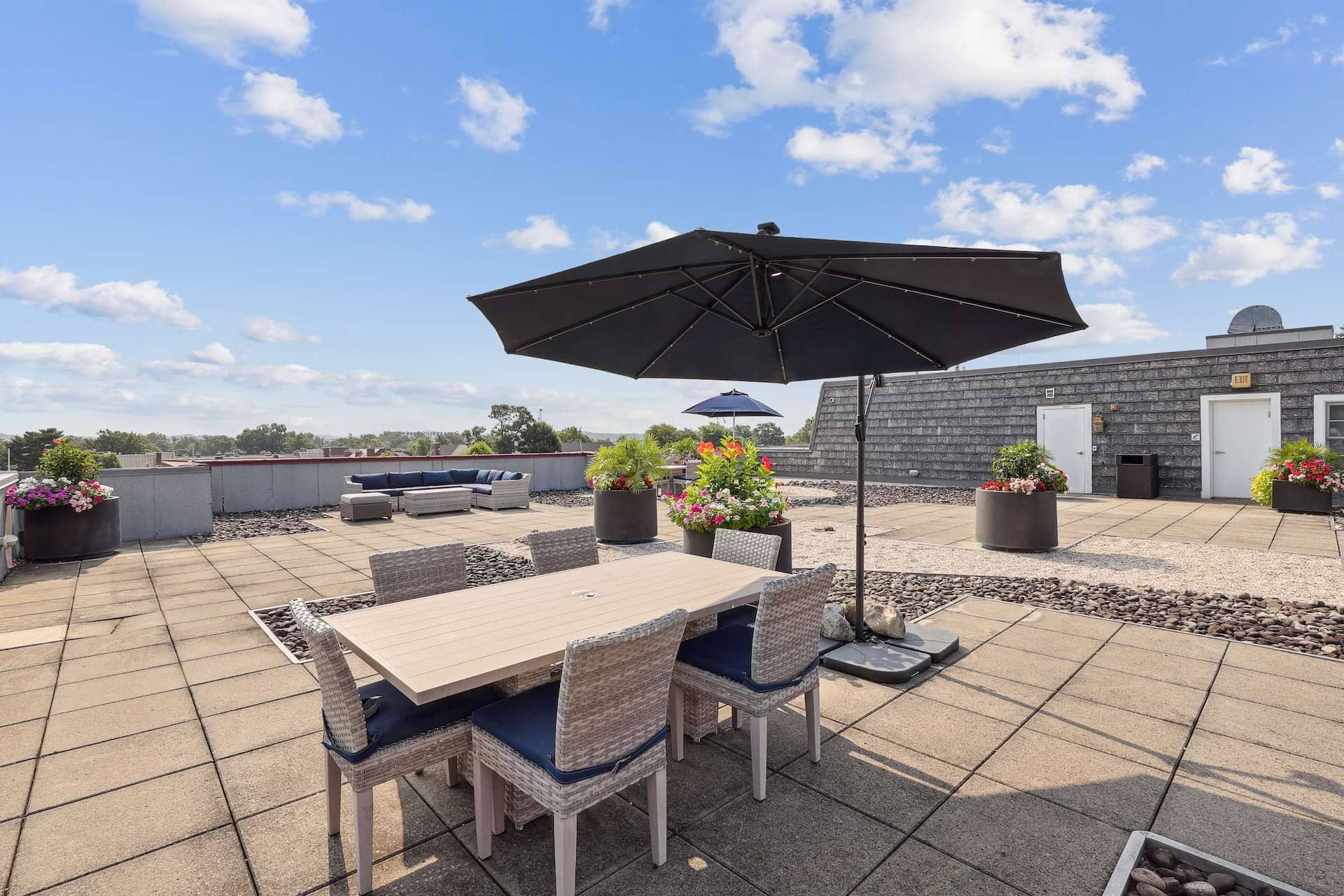 Cortland Alexandria photo 15