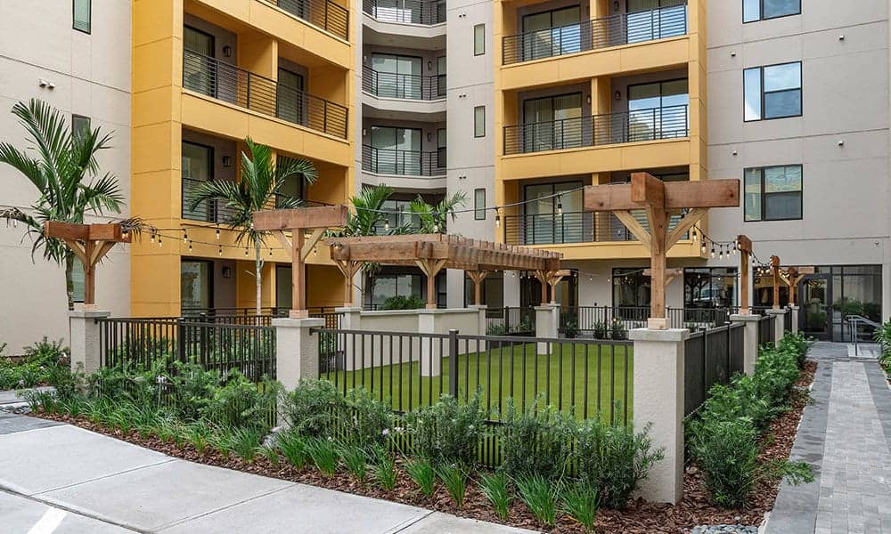 Cortland on Orange photo 38