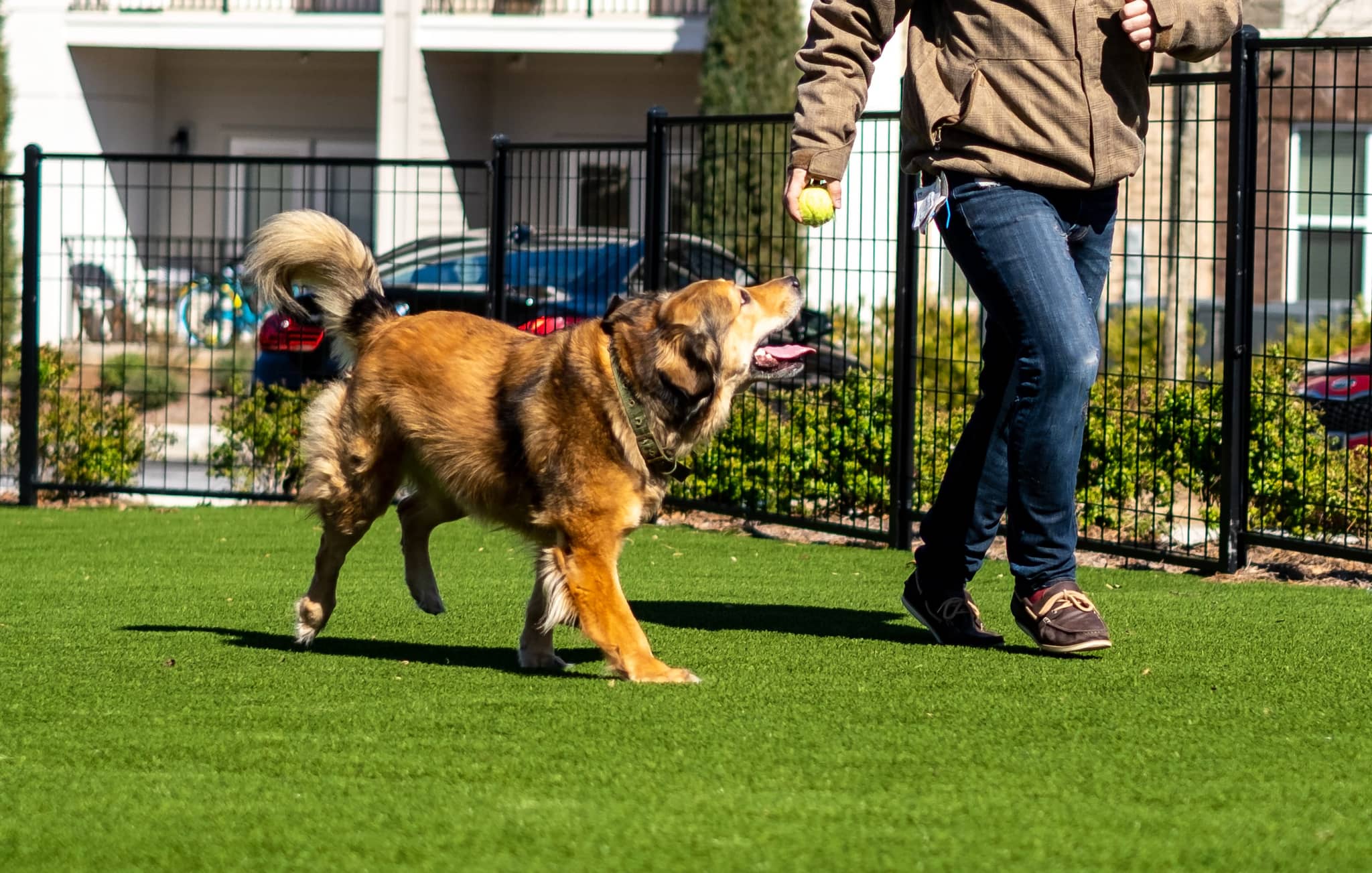 Cortland Peachtree Corners photo 28