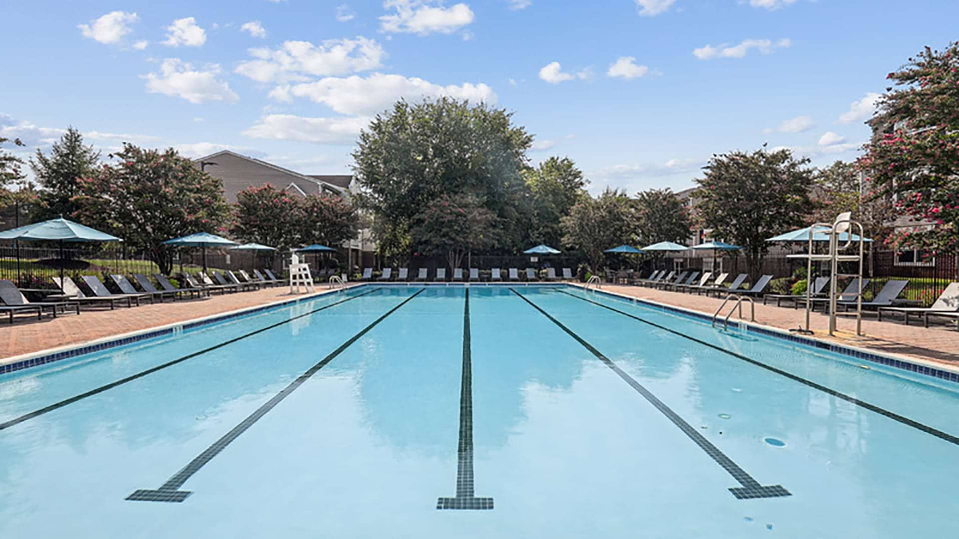 Cortland Manassas photo 15