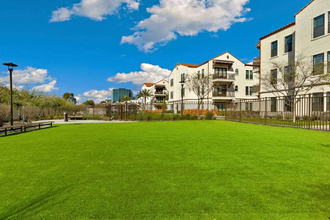 Cortland Biltmore photo 40