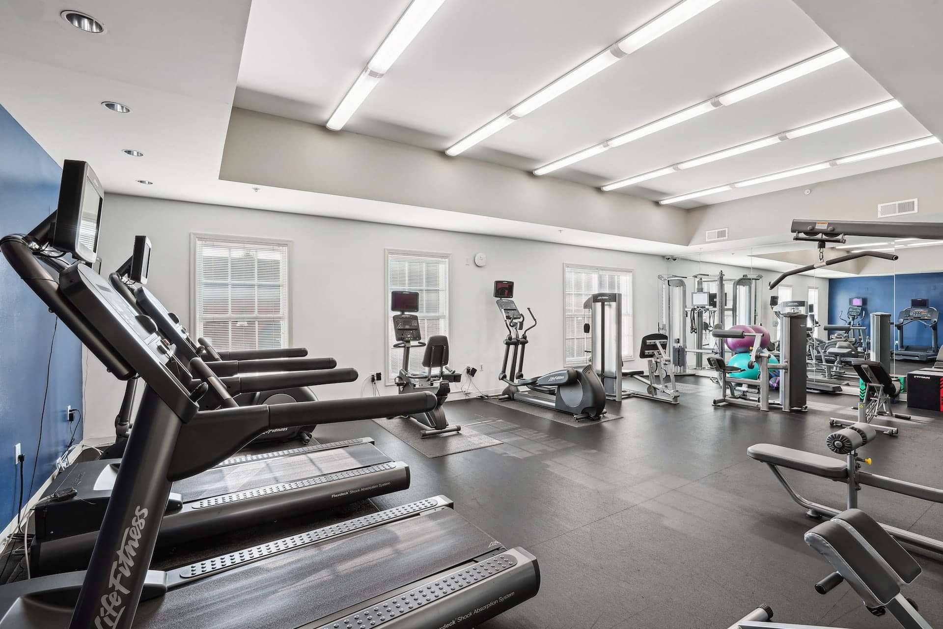 Cortland Alexandria photo 9