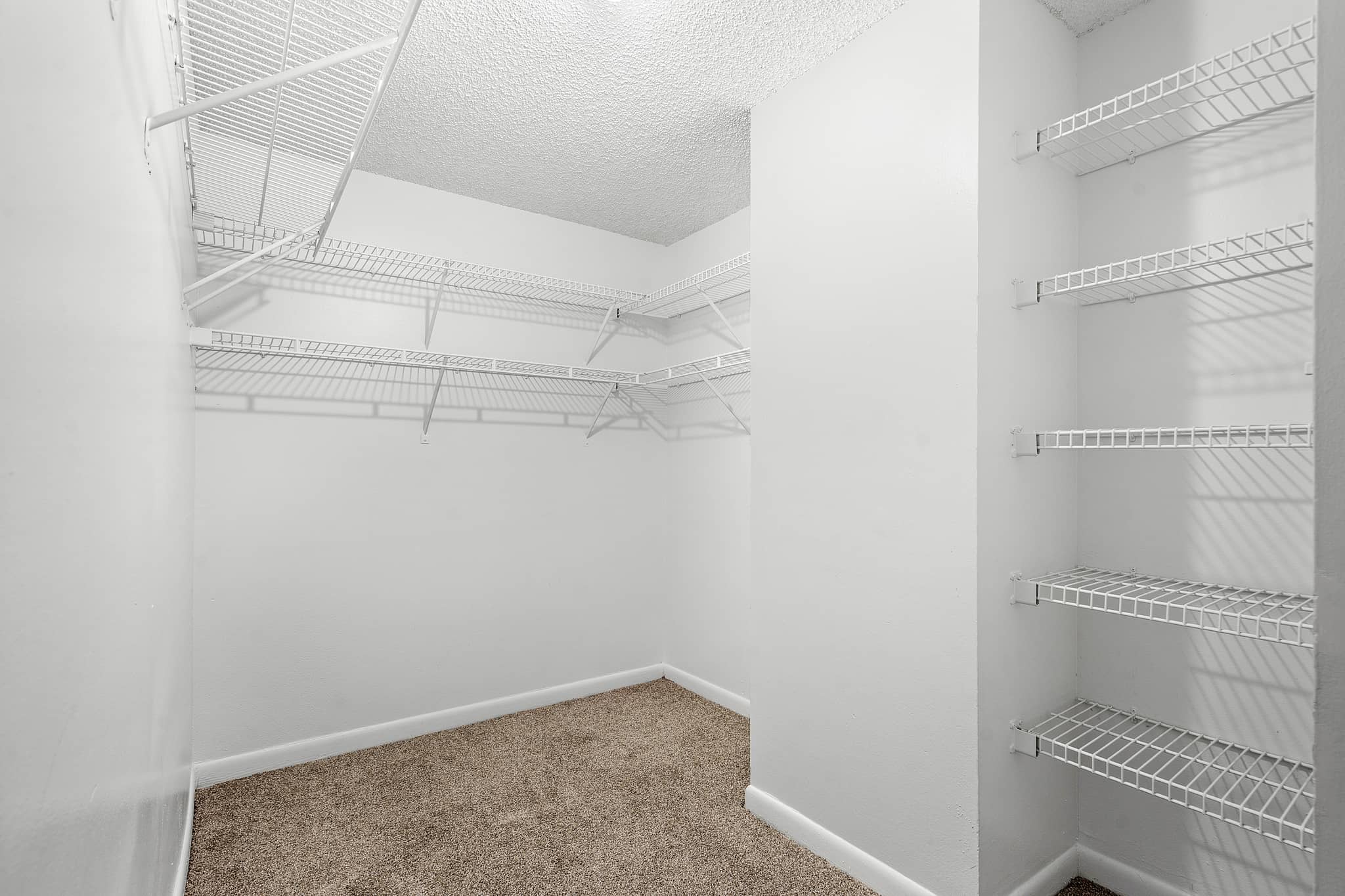 Cortland Pembroke Pines photo 32