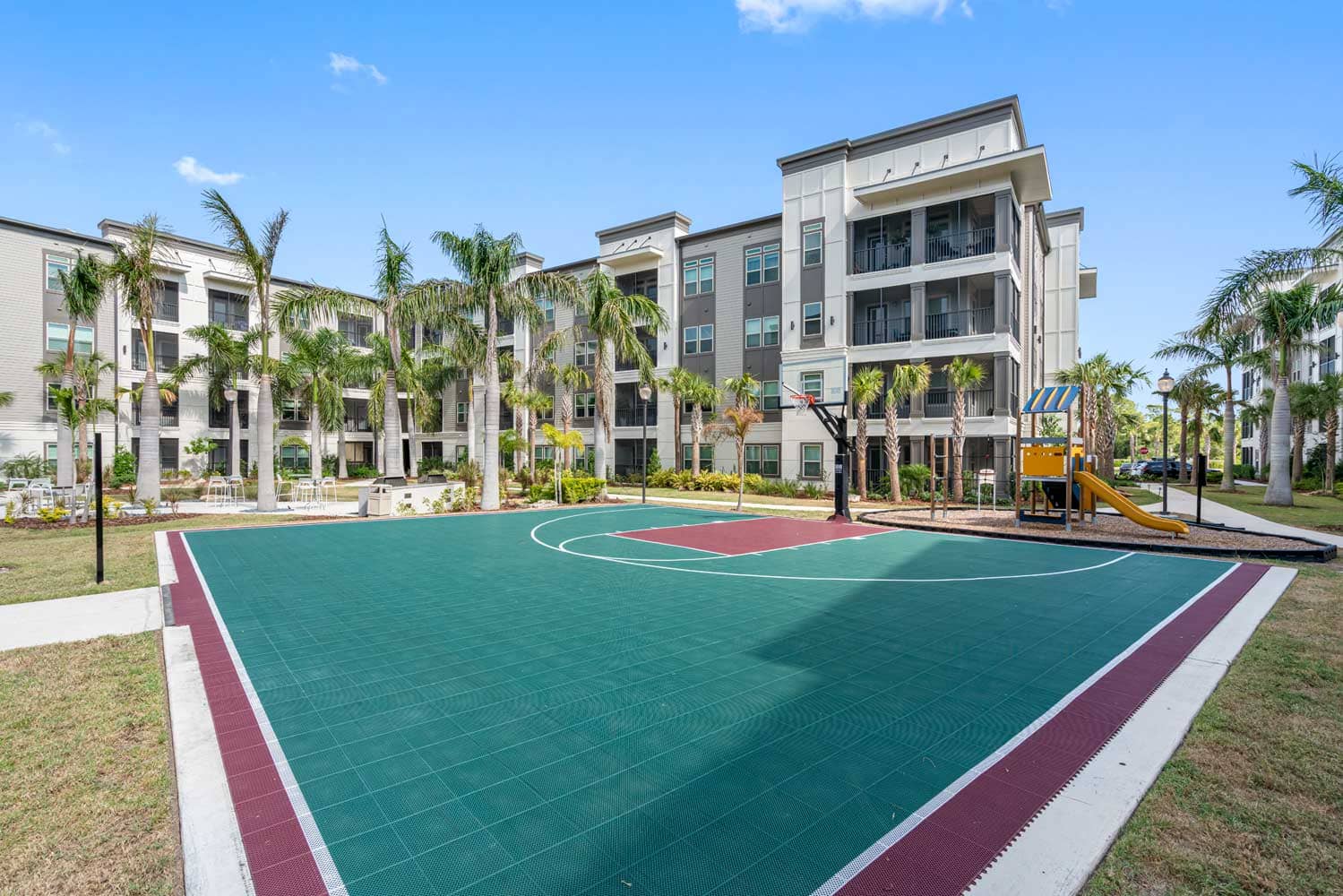 Cortland Satori photo 32