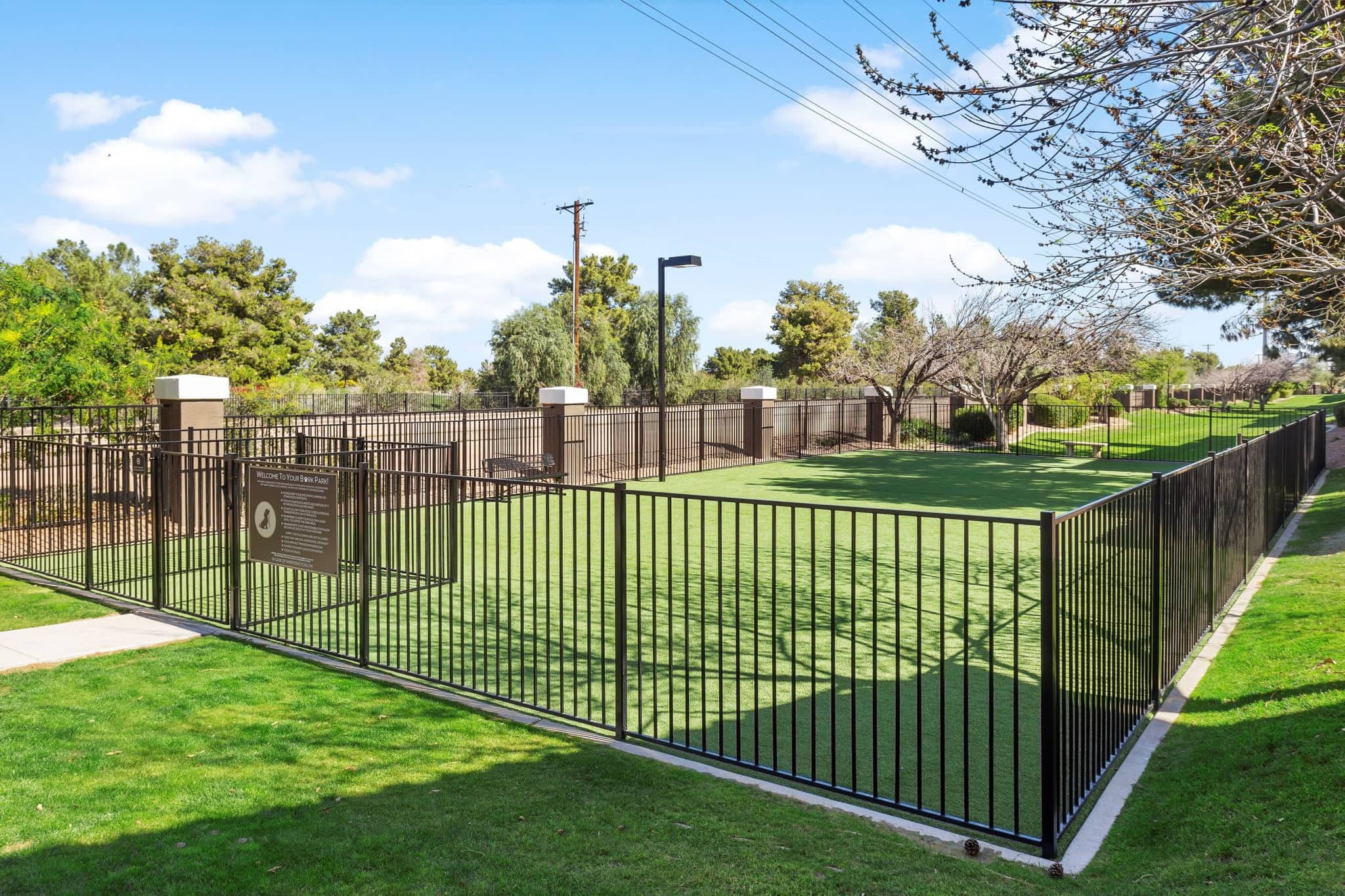 Cortland at Raven photo 25