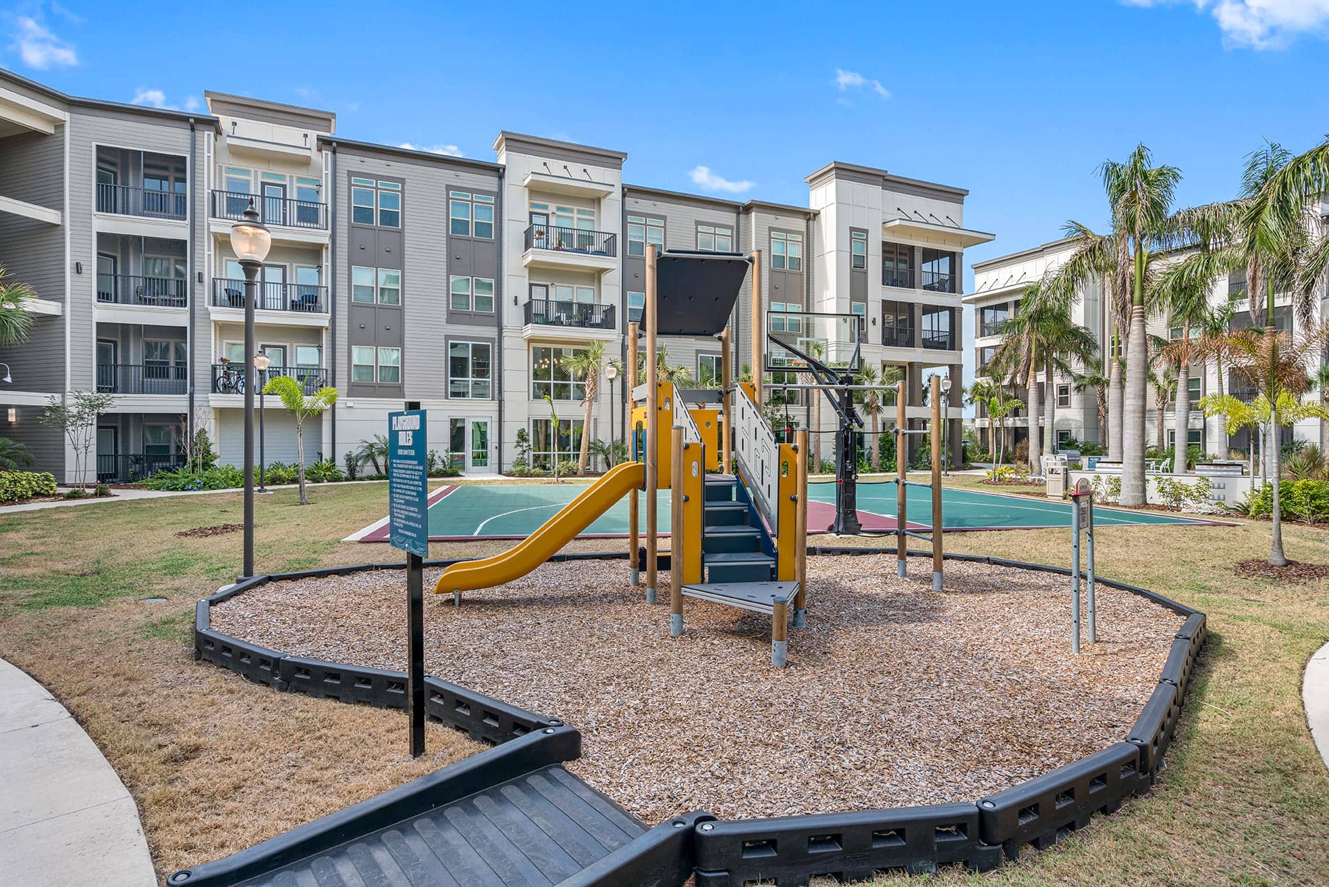 Cortland Satori photo 33