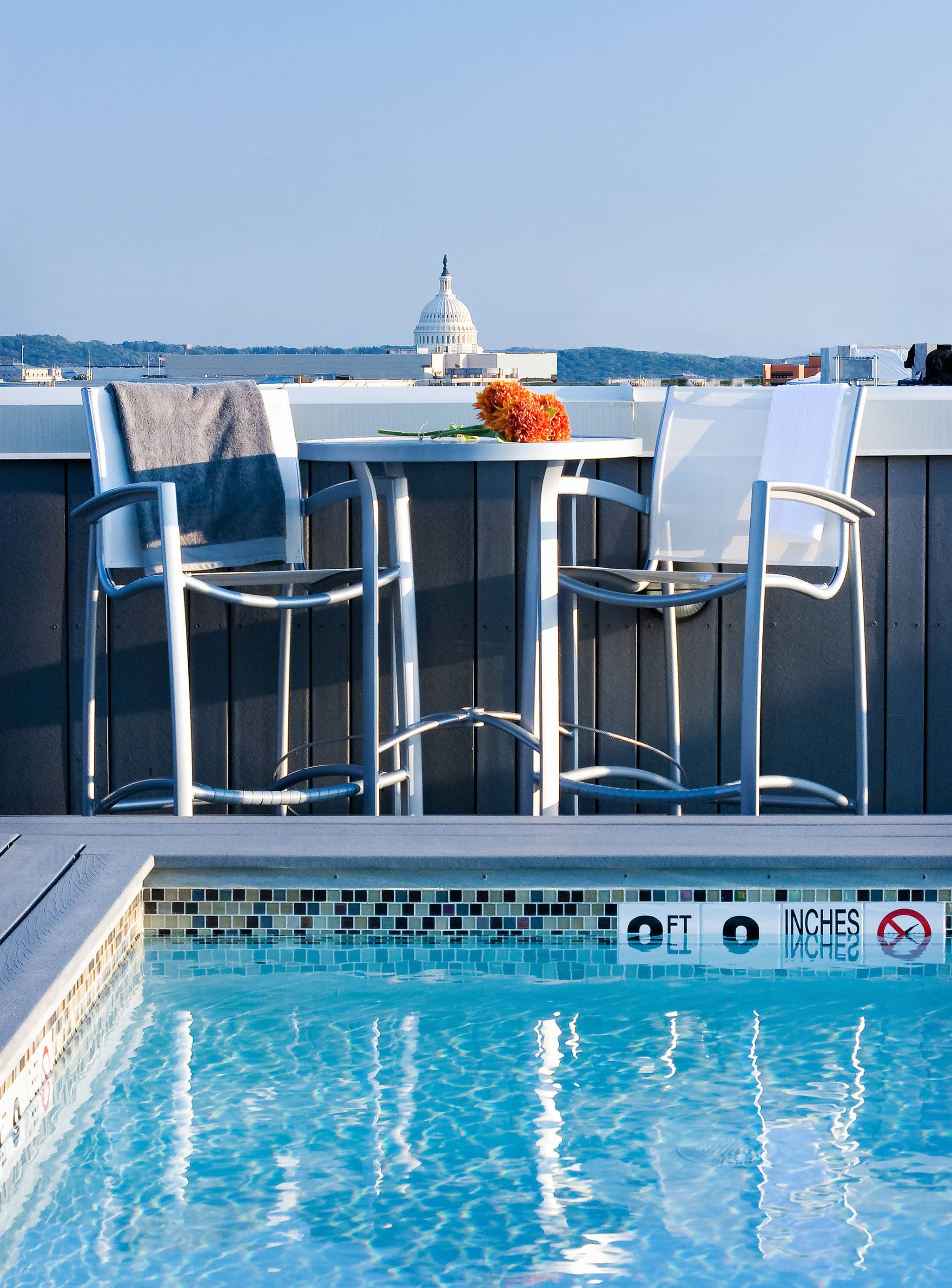 Cortland Mount Vernon photo 13