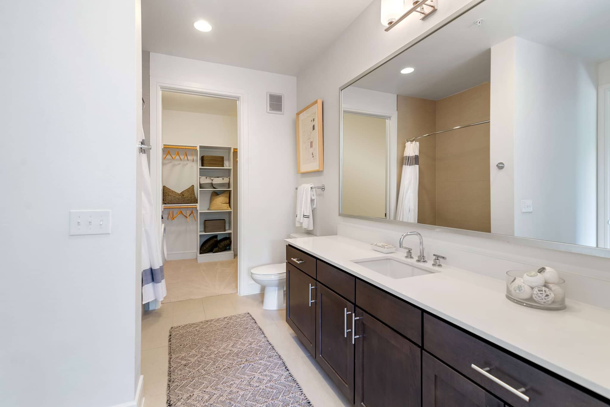 Cortland M-Line photo 9