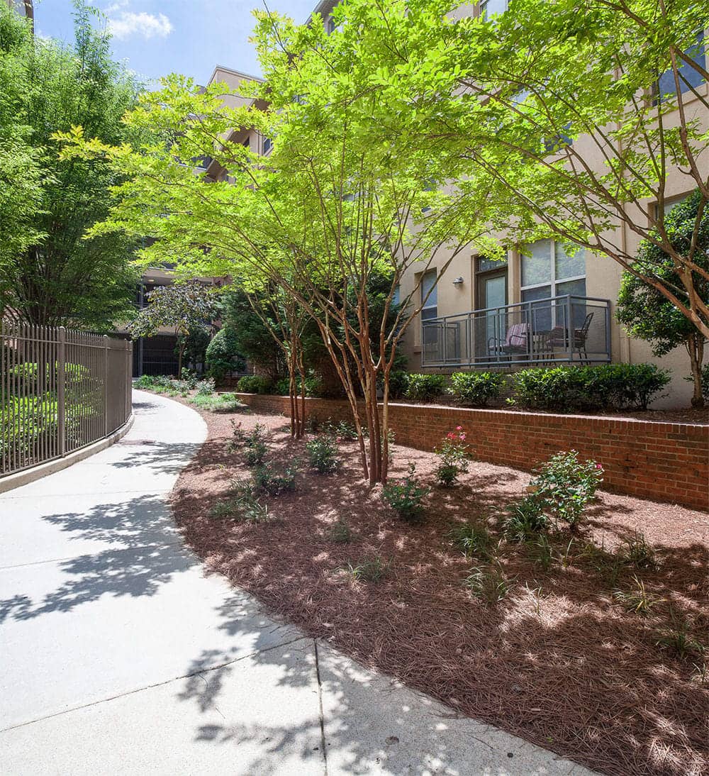 Cortland Old Fourth Ward photo 35