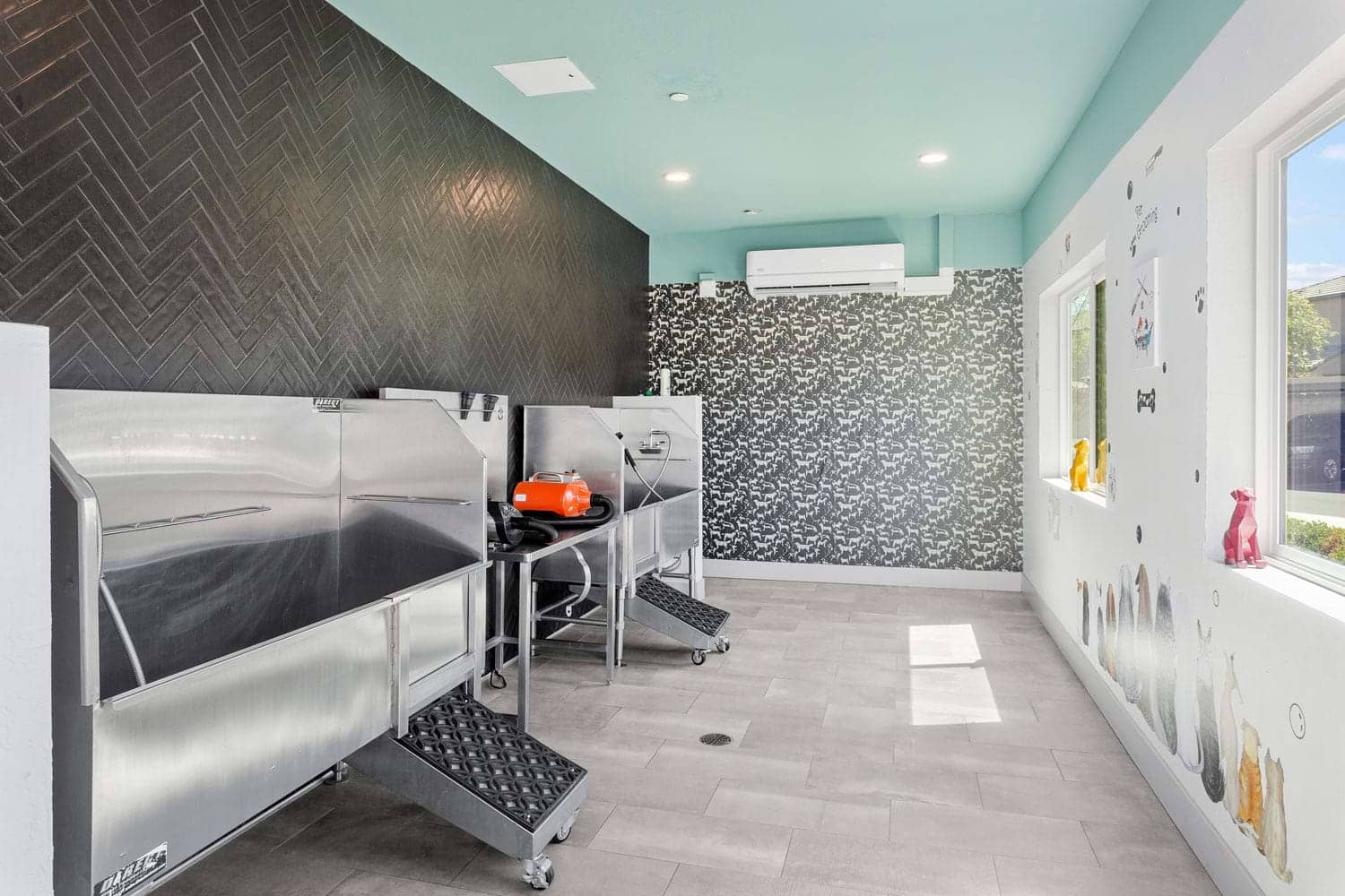 Cortland at P83 photo 41