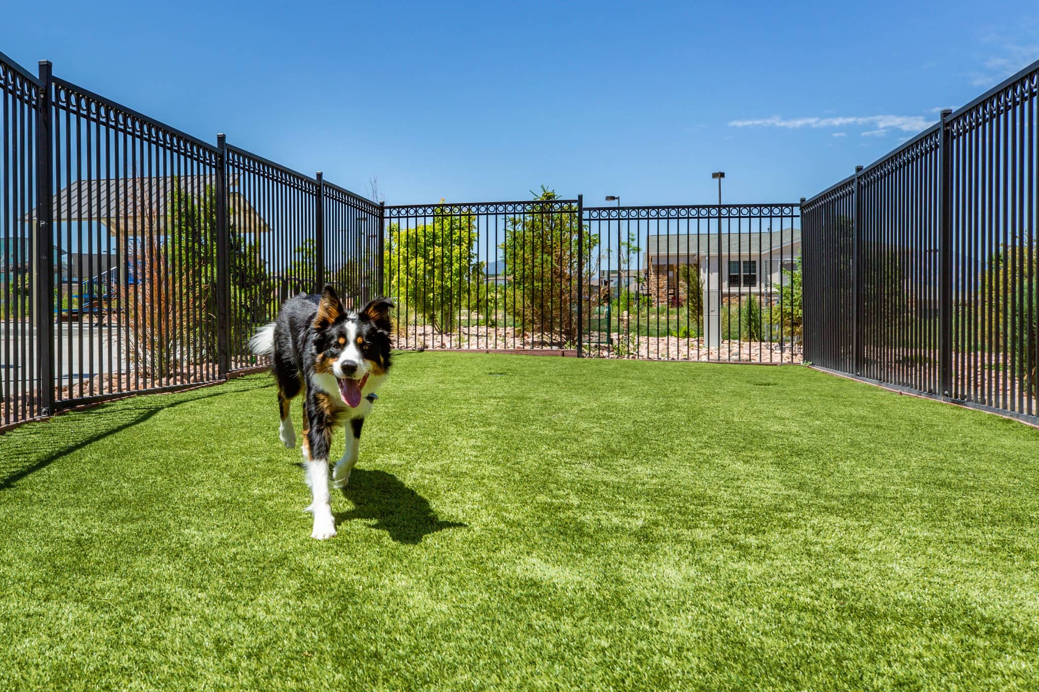 Cortland at Coalton photo 42