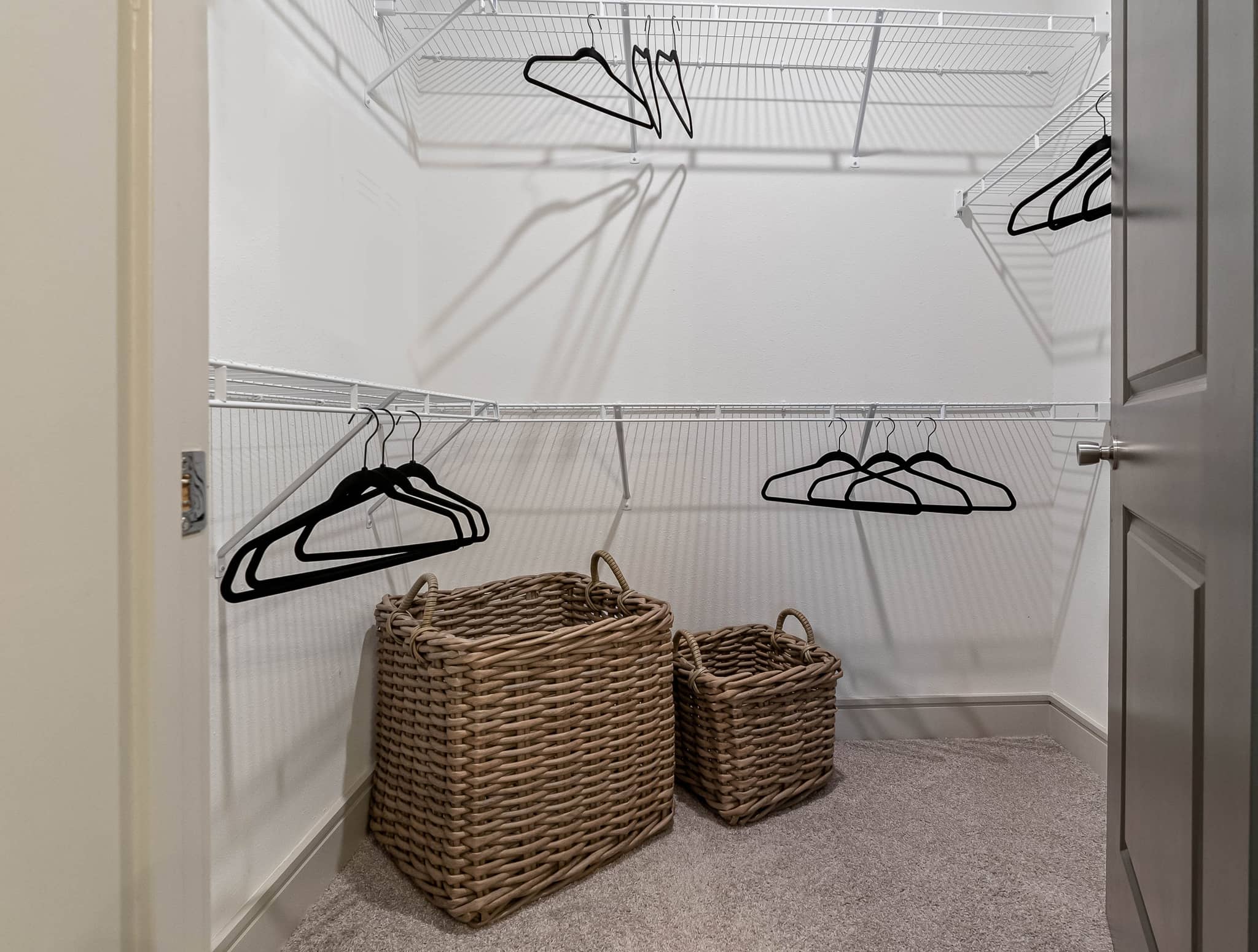 Cortland Satori photo 14