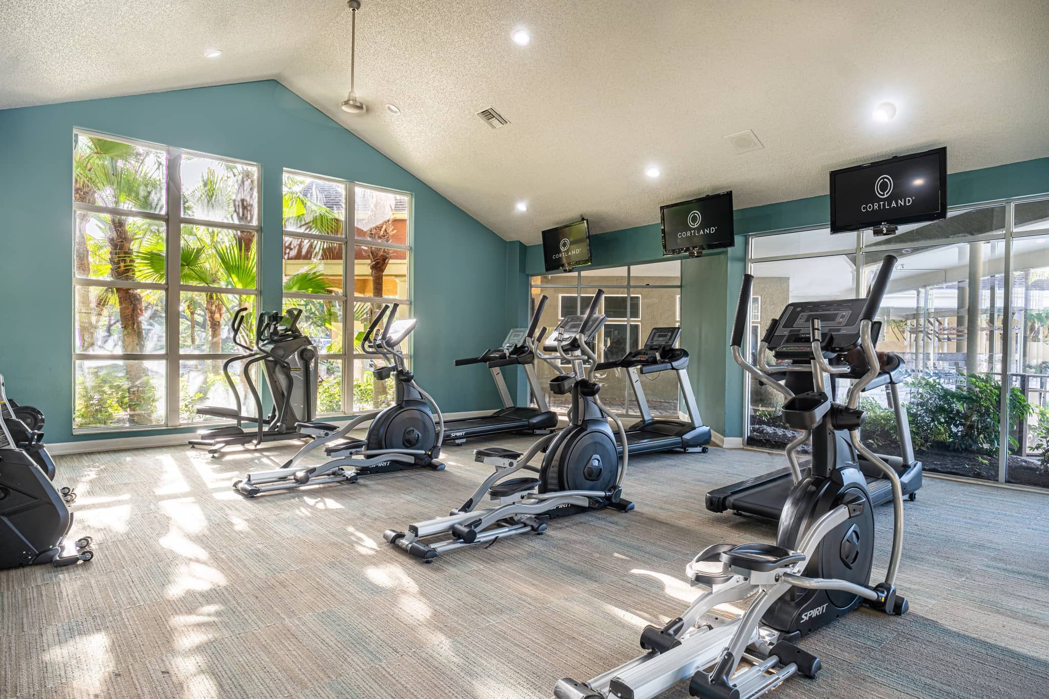 Cortland Bayport photo 55