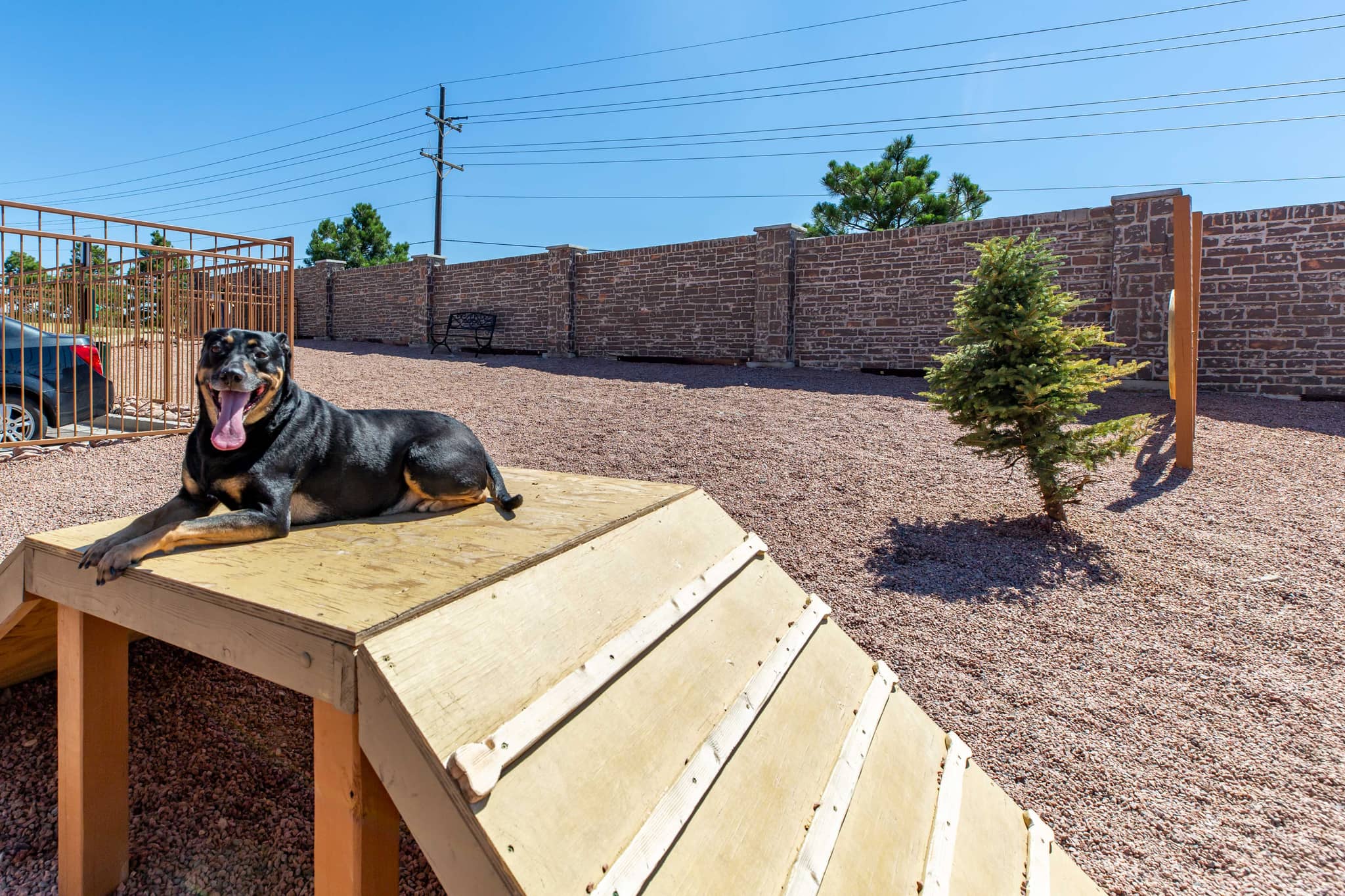 Cortland Powers North photo 72