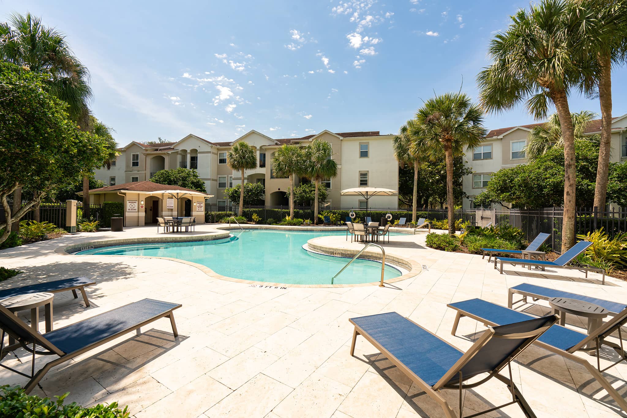 Cortland Lake Lotus photo 22