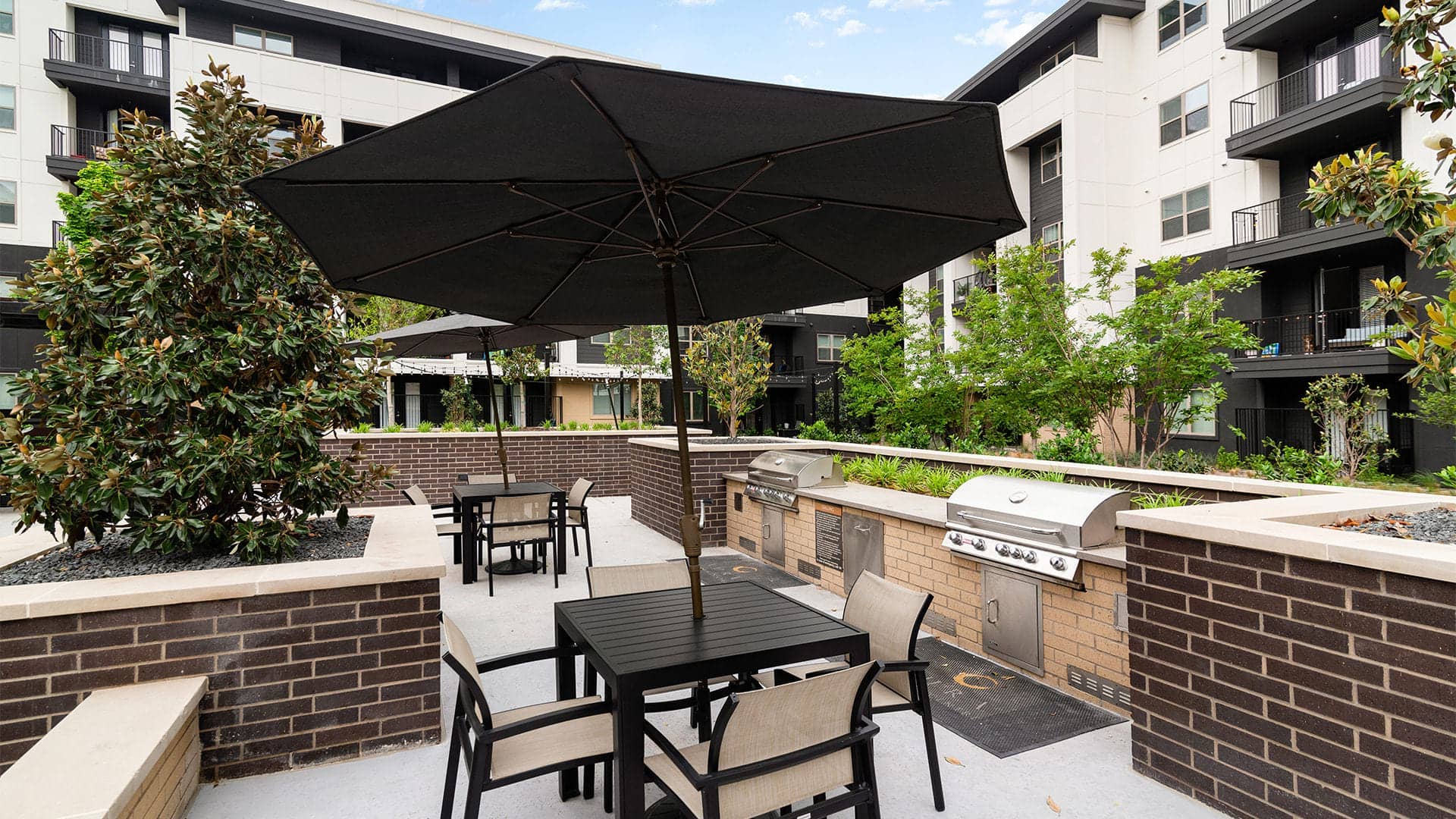 Cortland at Castle Hills photo 32