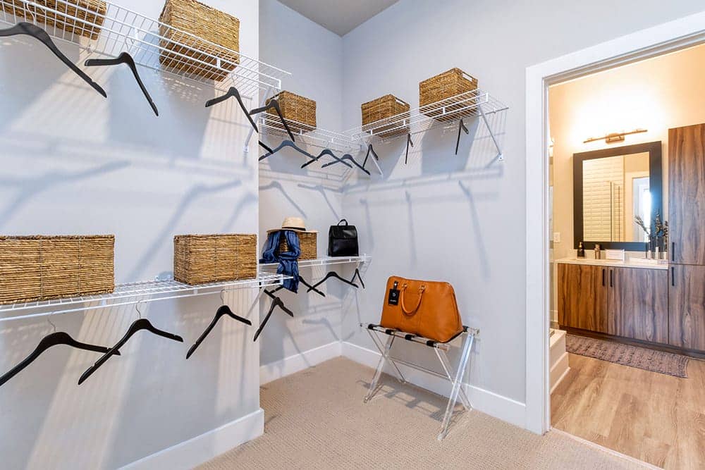 Cortland Oleander photo 18