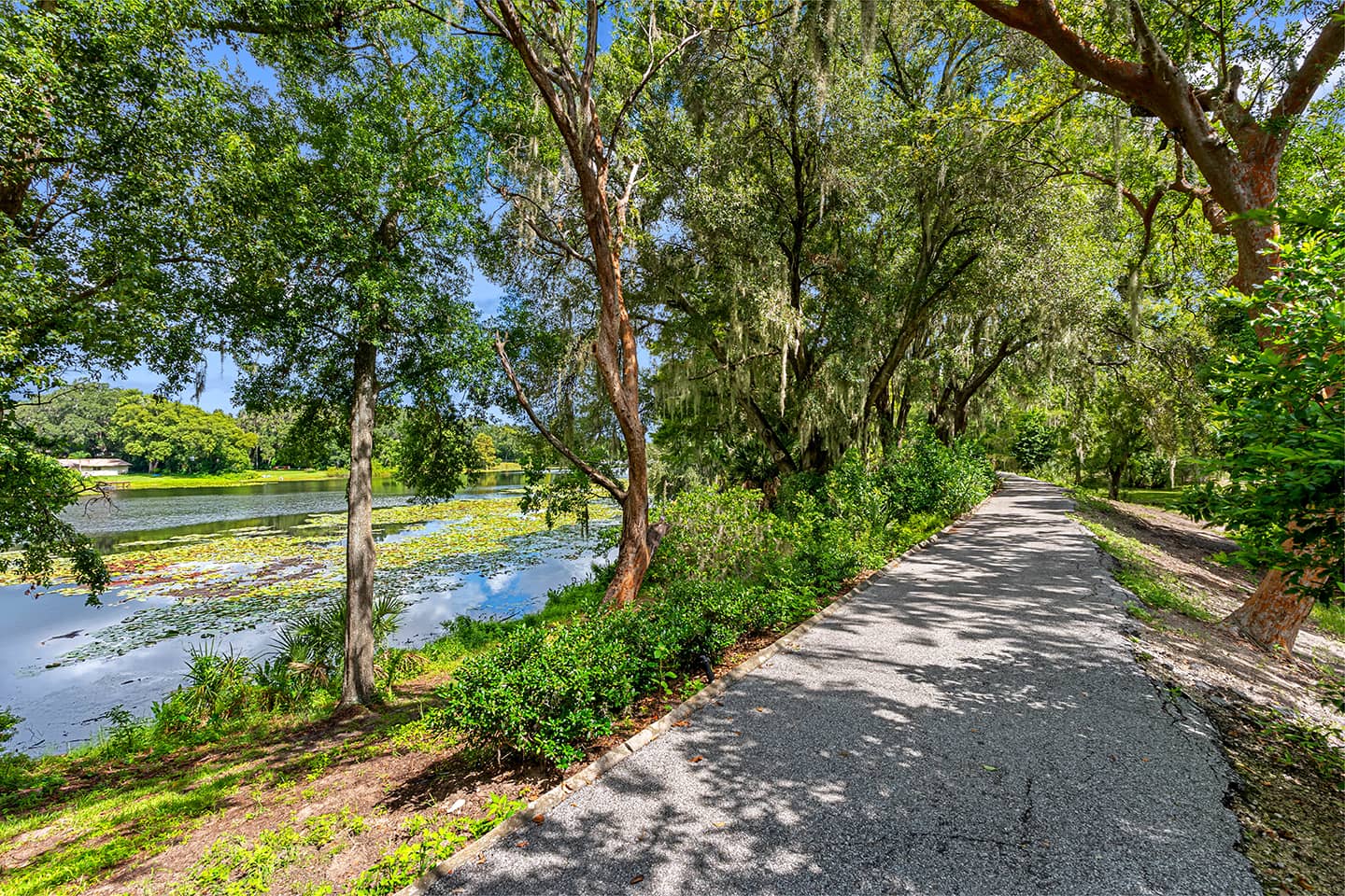 Cortland Mirror Lake photo 31
