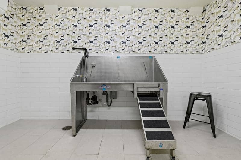 Cortland Bull City photo 40