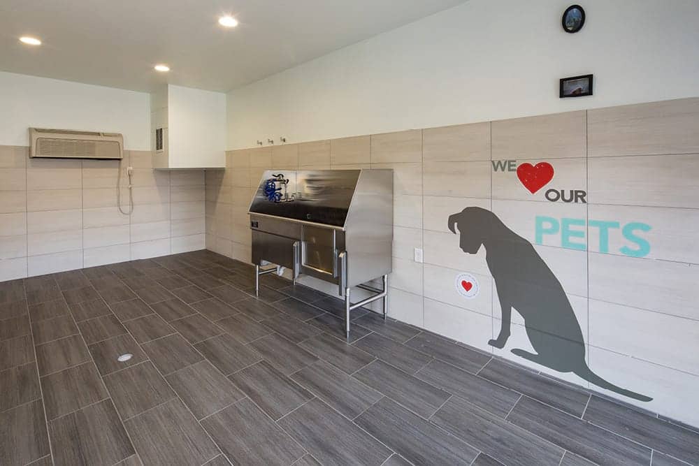 Cortland University City photo 15