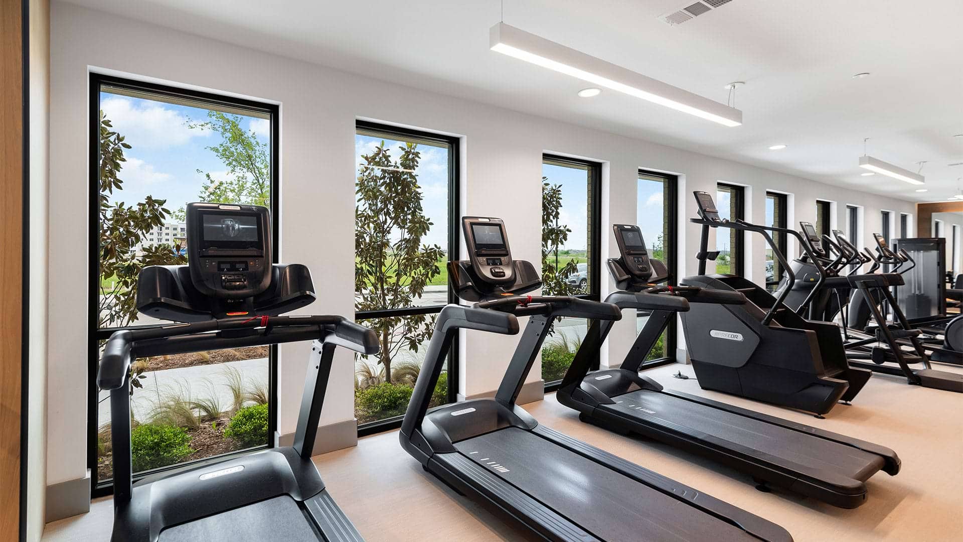 Cortland at Castle Hills photo 15