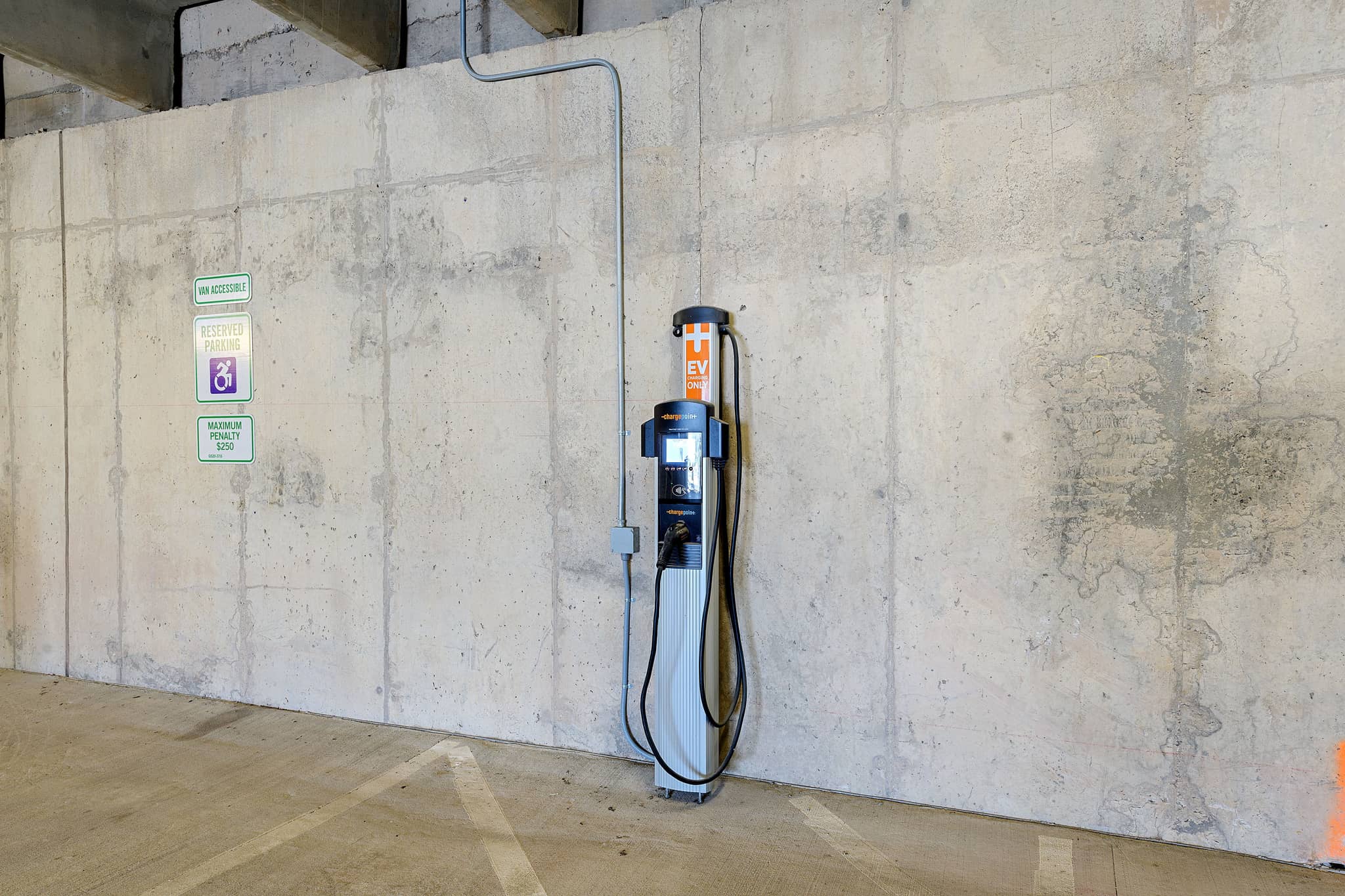 Cortland Bull City photo 43