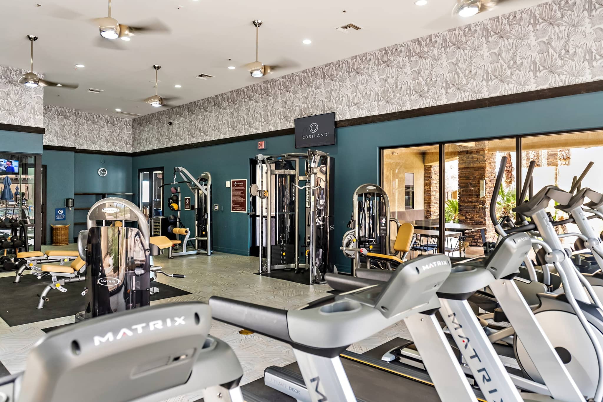 Cortland on the Loop photo 15