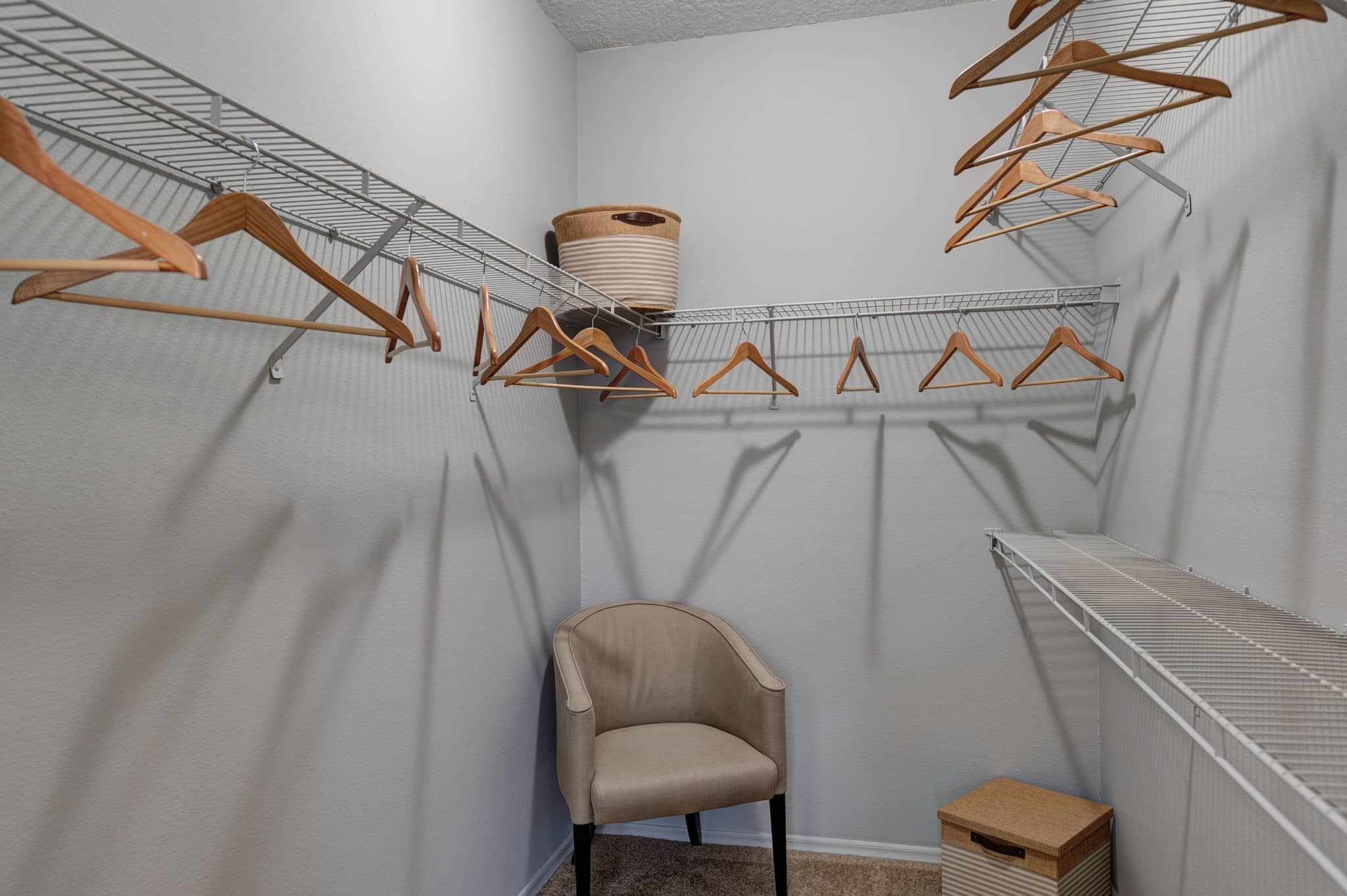 Cortland at RTP photo 9