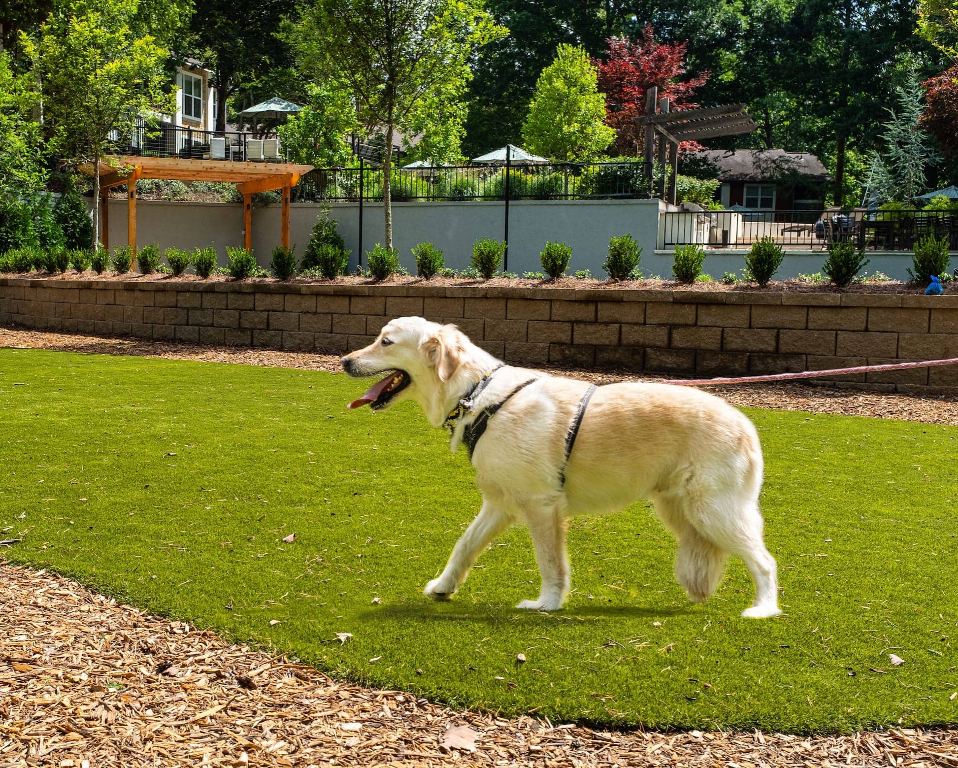 Cortland at the Village photo 31