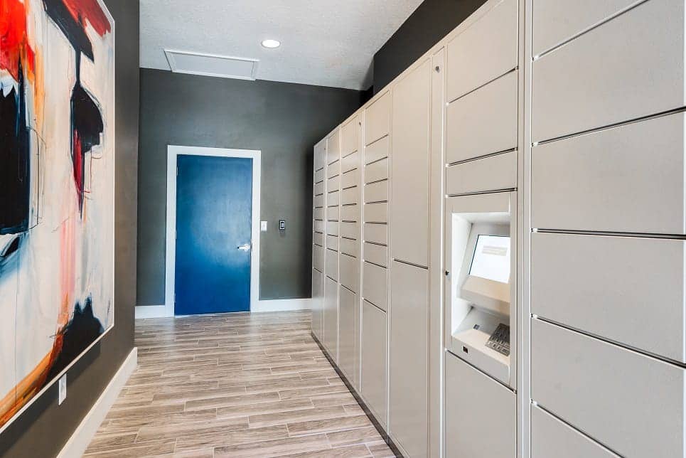 Cortland Lake Lotus photo 30