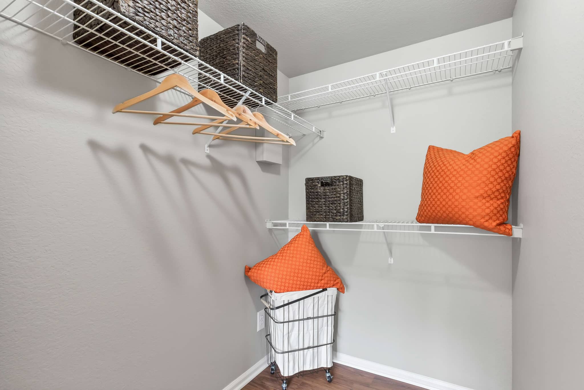 Cortland on Cherry Creek photo 11