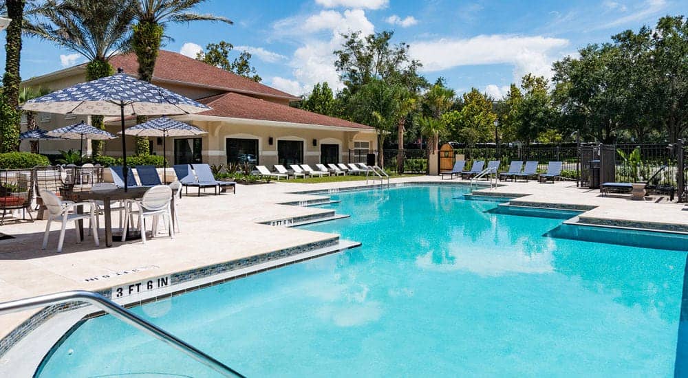 Cortland Lake Lotus photo 24