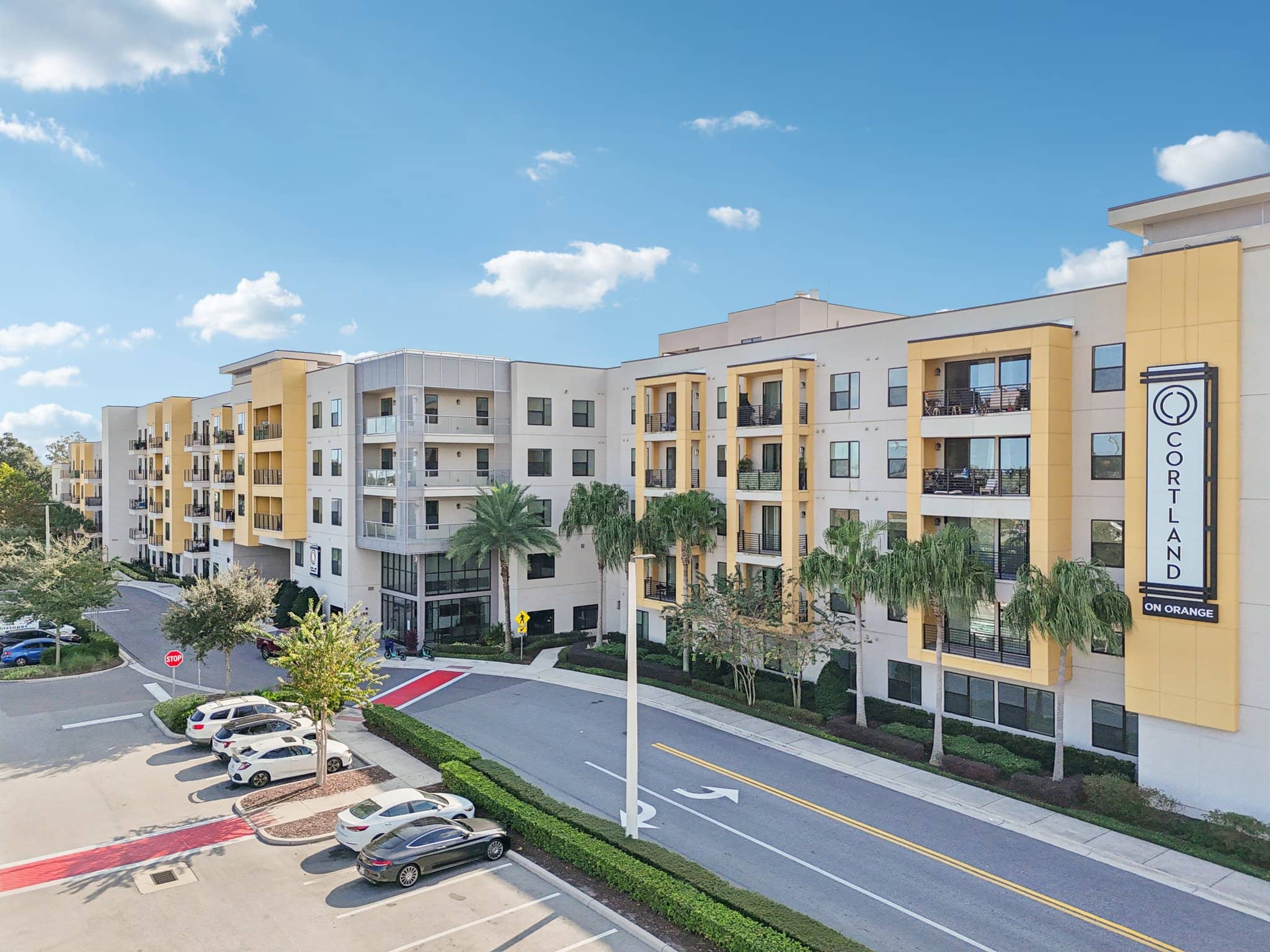 Cortland on Orange photo 40